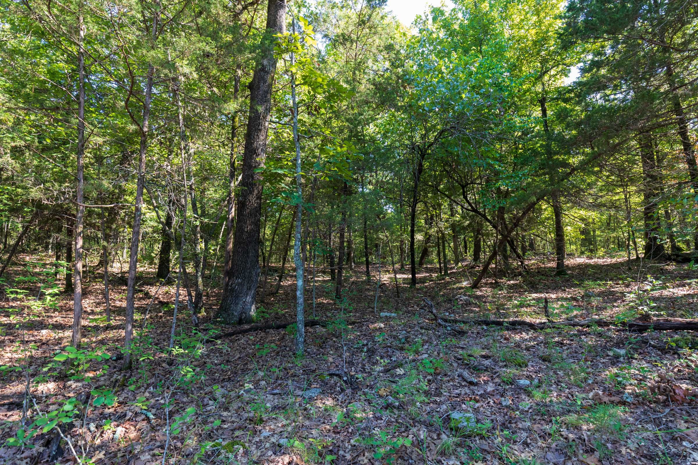 Heritage Bend Tract 17 photo 10
