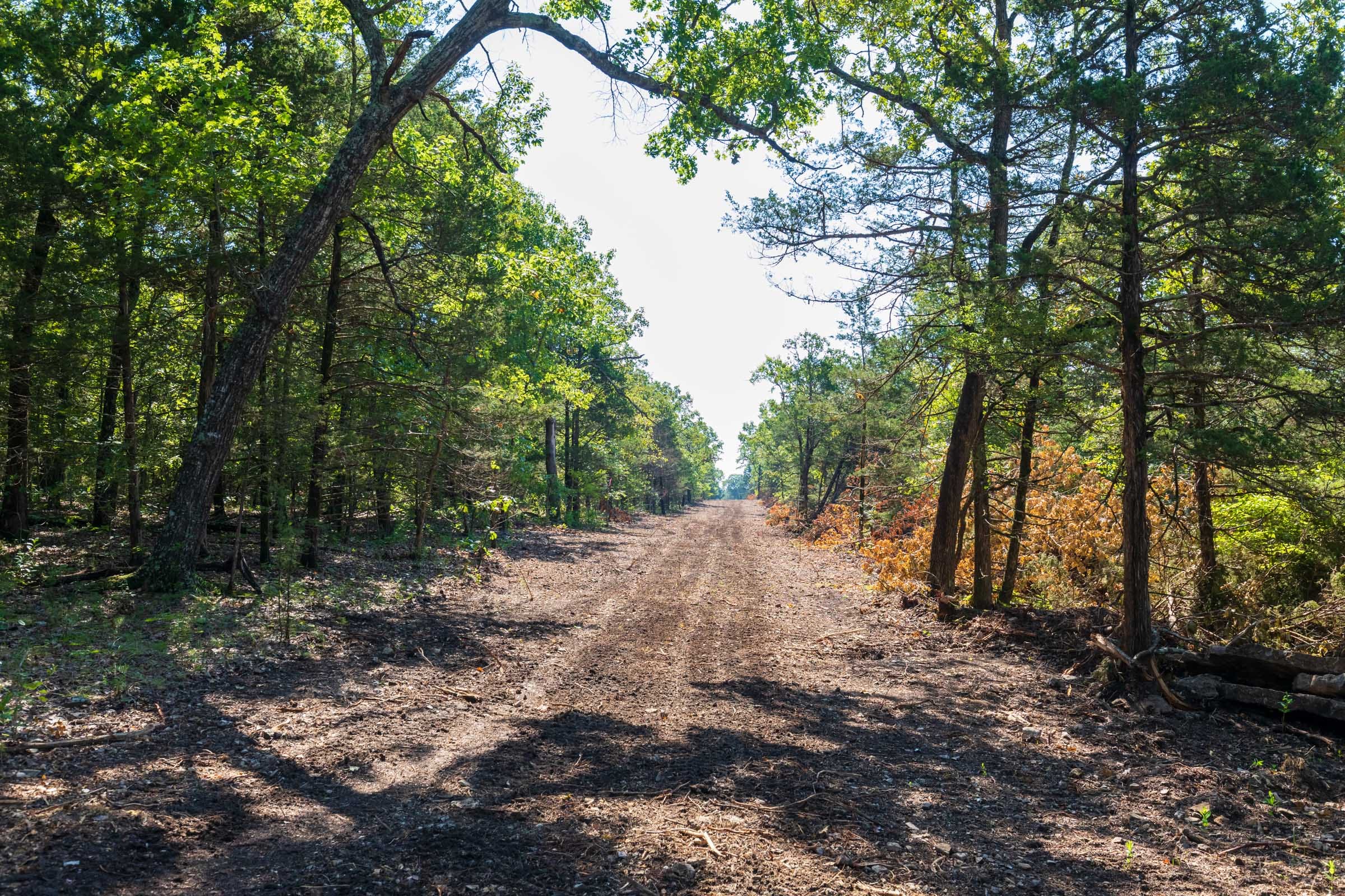 Heritage Bend Tract 17 photo 11