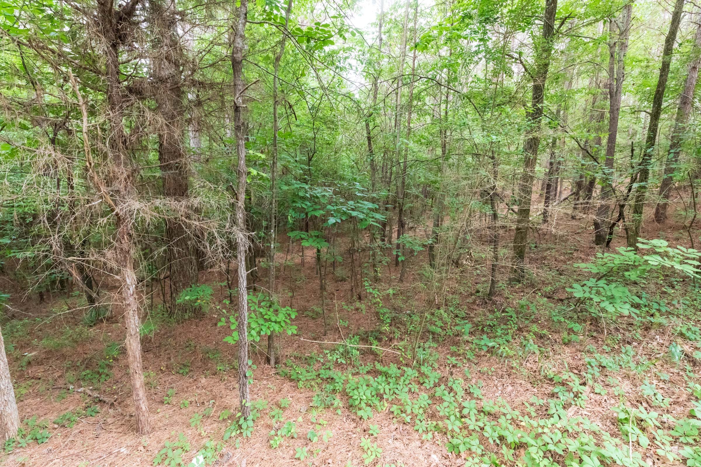 Whiskey Ridge Tract 39 photo 3