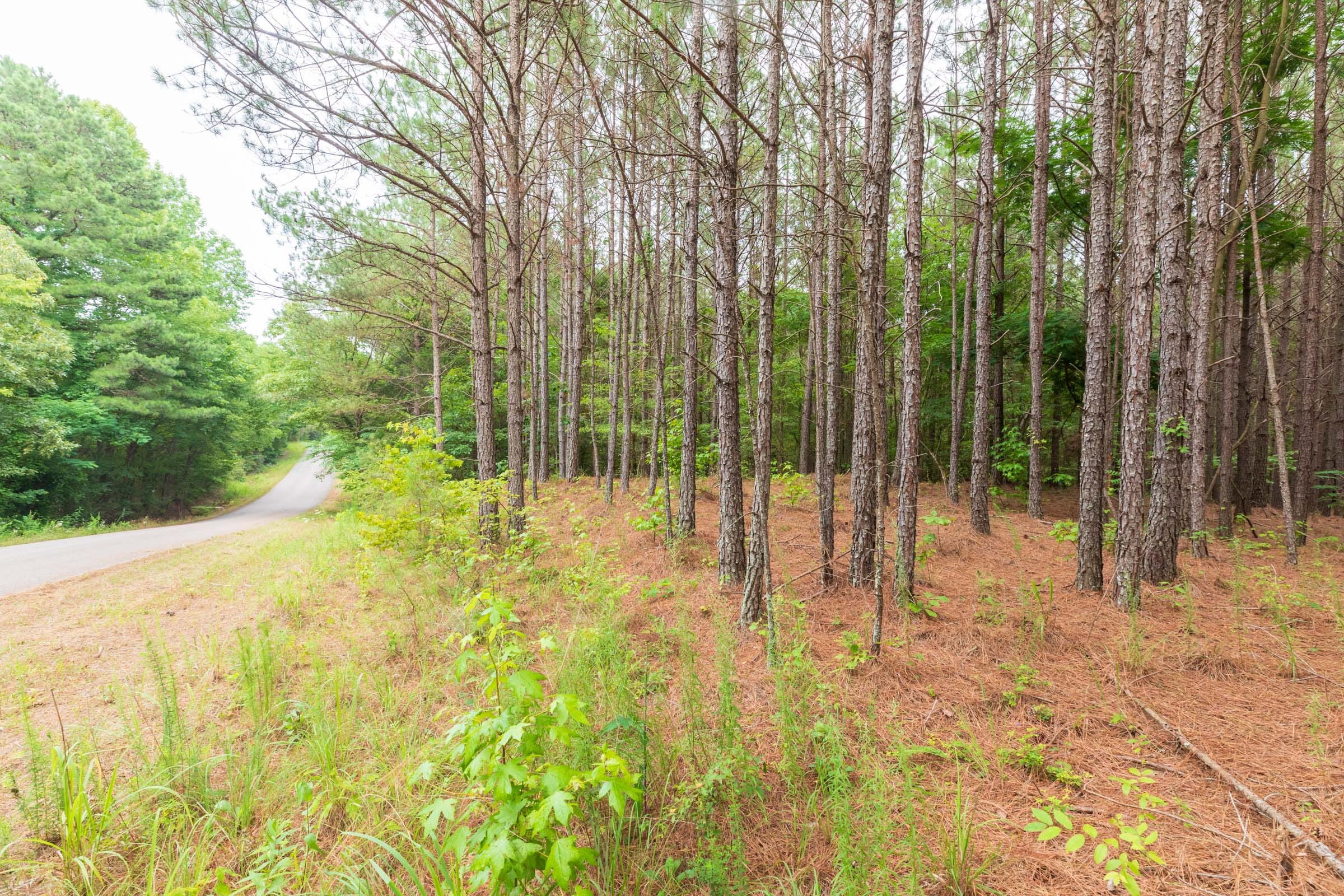 Whiskey Ridge Tract 39 photo 9
