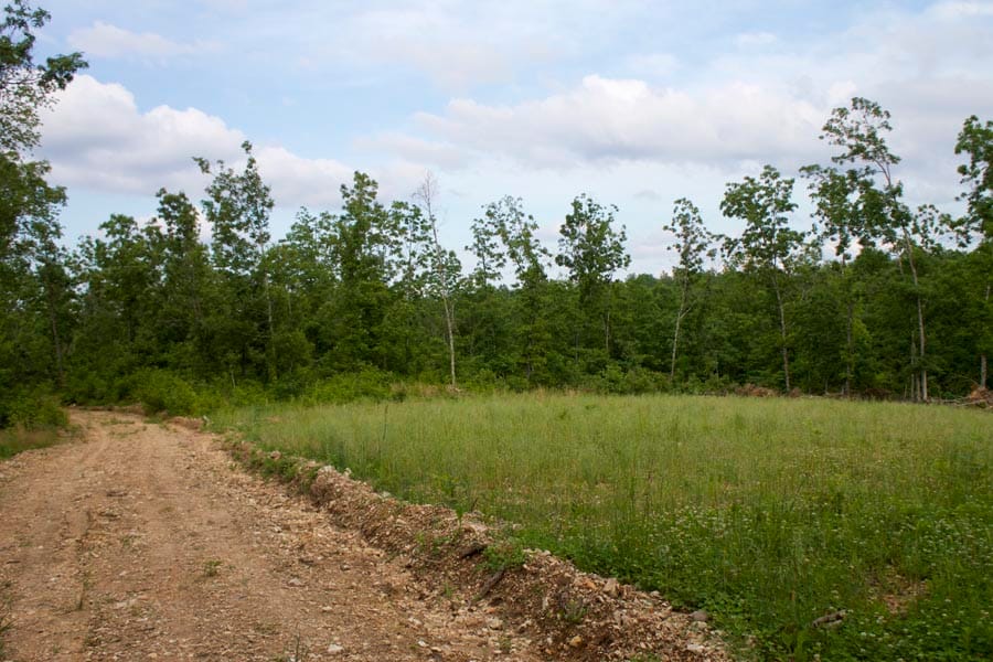 Thunder Mountain Ranch Tract 28 photo 1