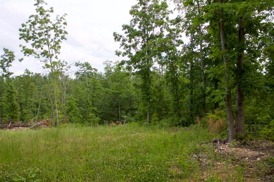 Thunder Mountain Ranch Tract 28 photo 2