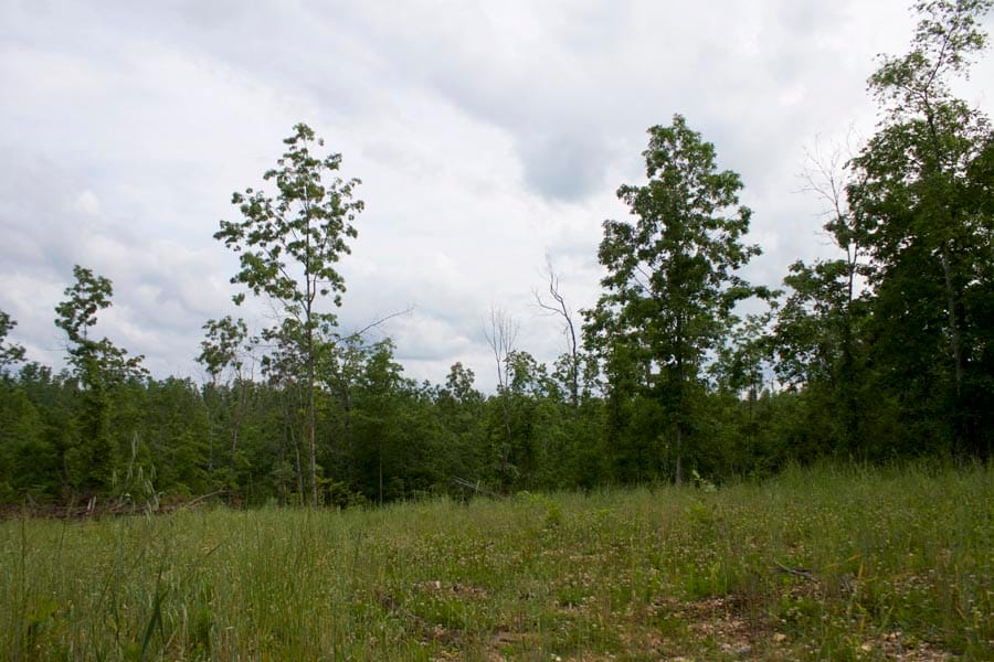 Thunder Mountain Ranch Tract 28 photo 4
