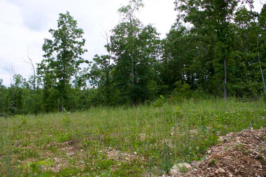 Thunder Mountain Ranch Tract 28 photo 5