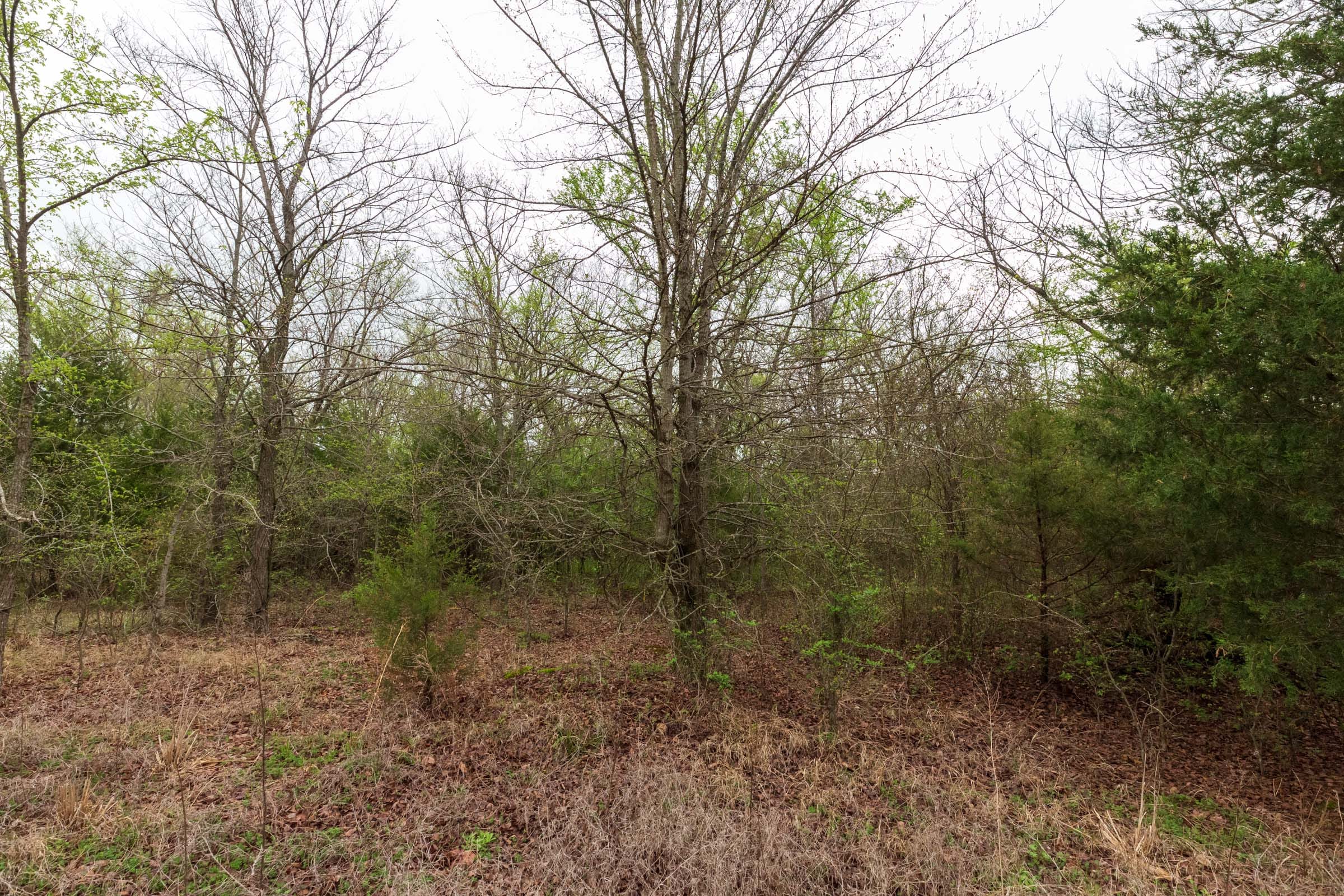 Moonrise Meadows Tract 11 photo 13