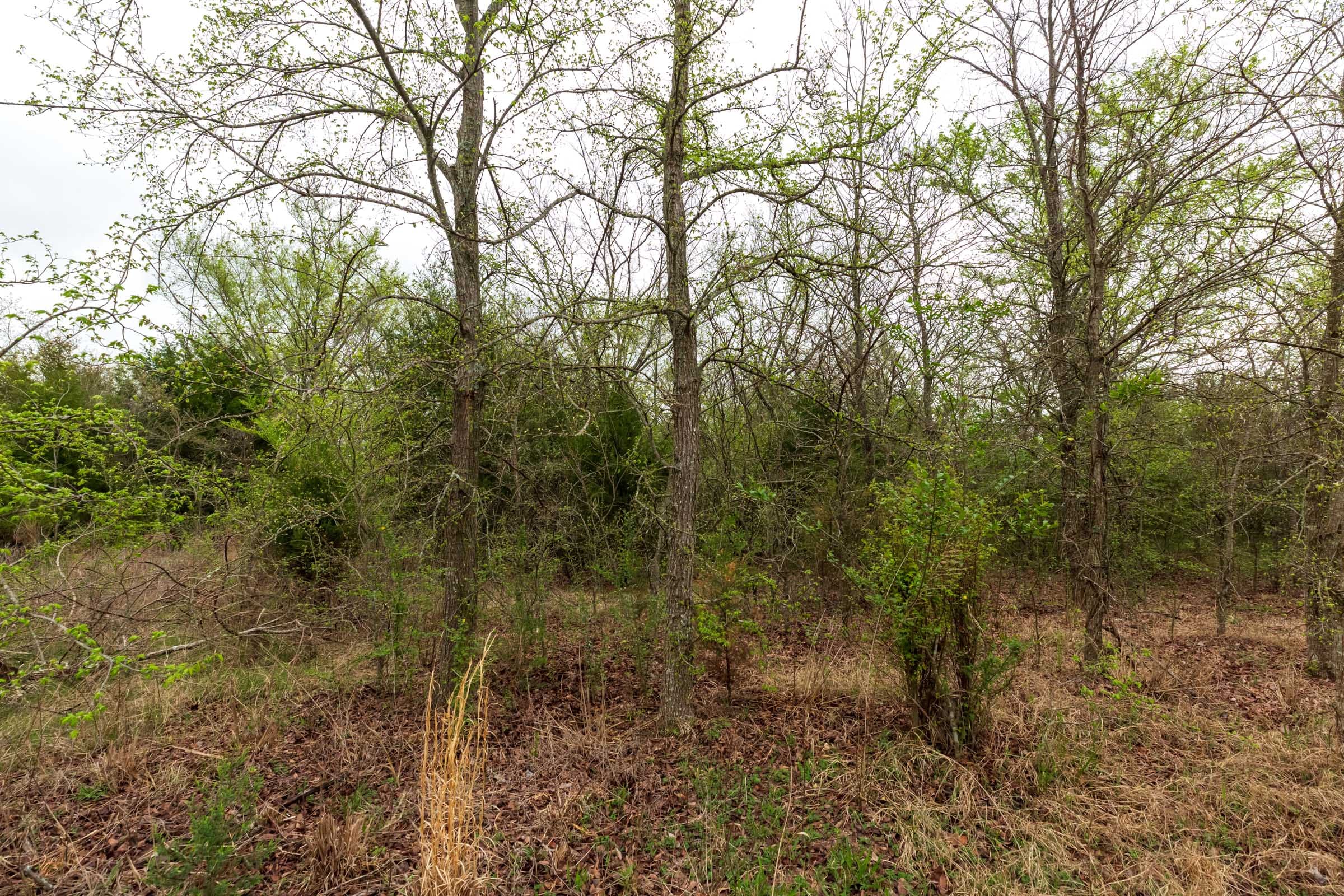 Moonrise Meadows Tract 11 photo 12
