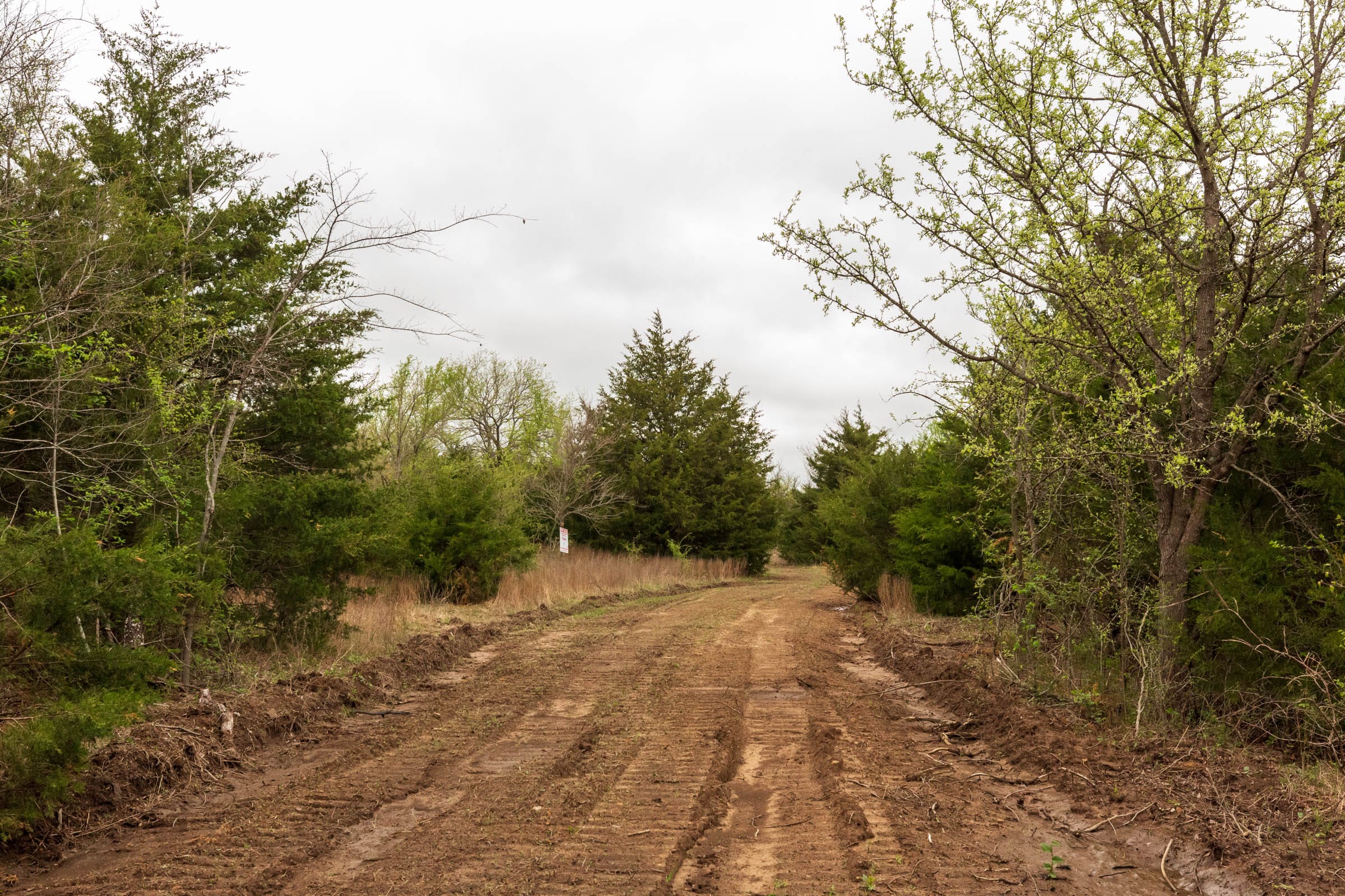 Moonrise Meadows Tract 11 photo 11