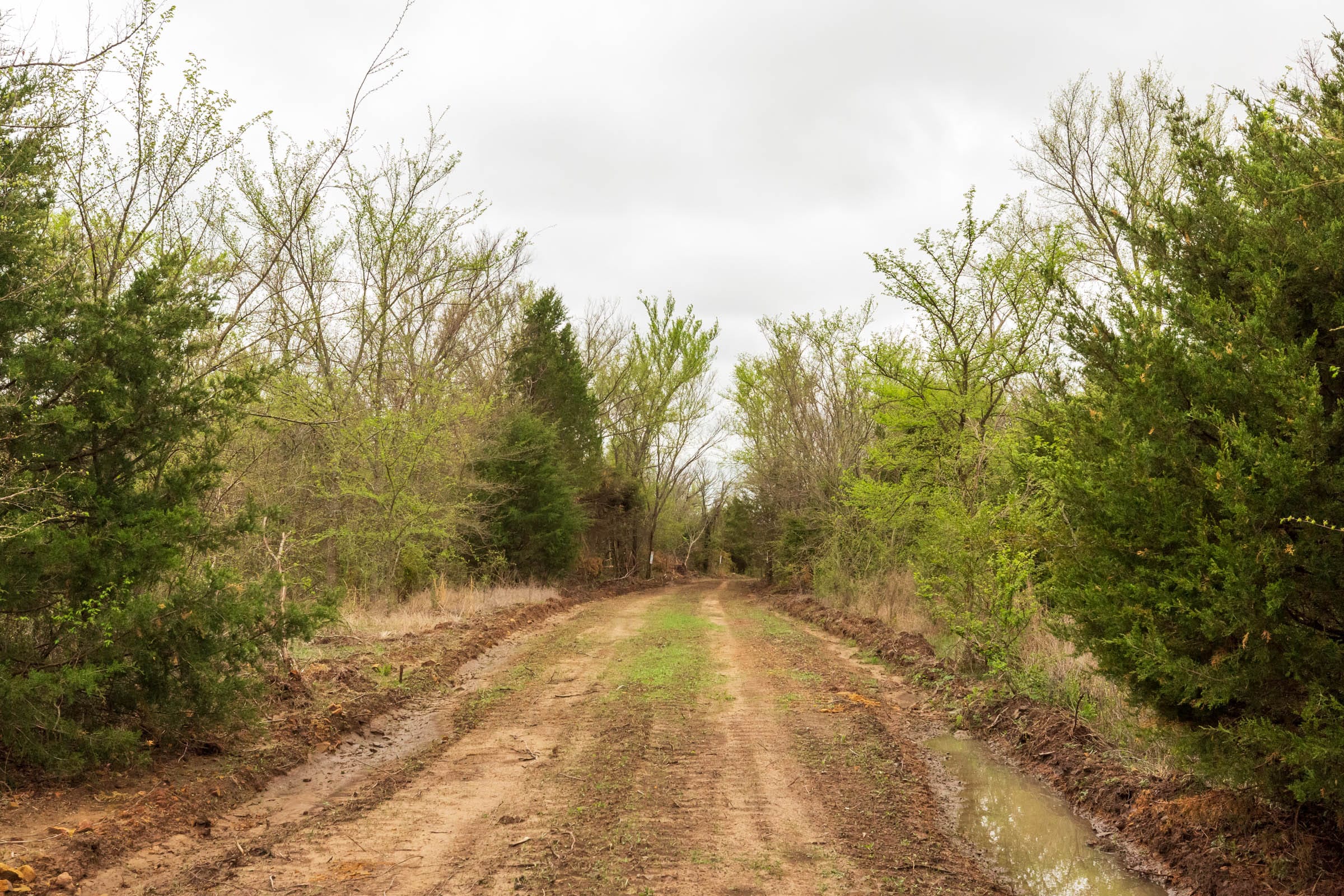 Moonrise Meadows Tract 11 photo 1