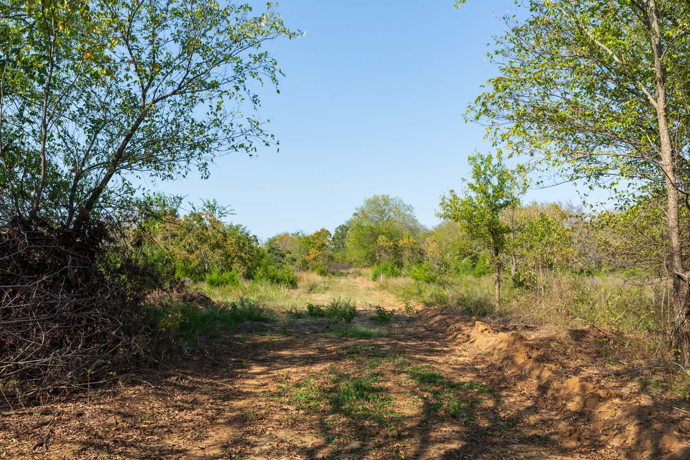 Canyon Creek Tract 20 photo 1