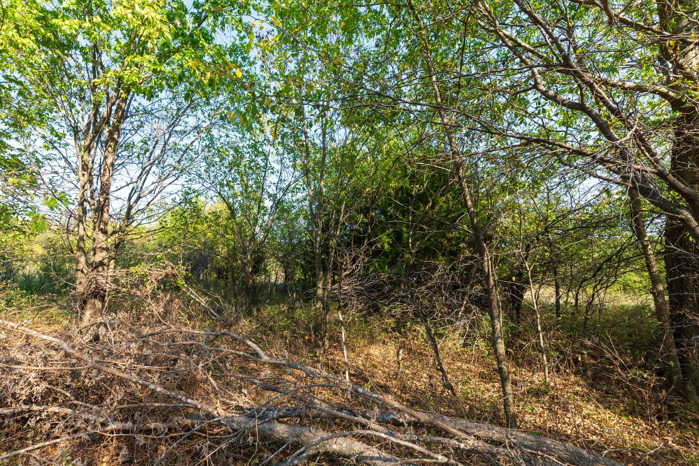 Canyon Creek Tract 20 photo 3
