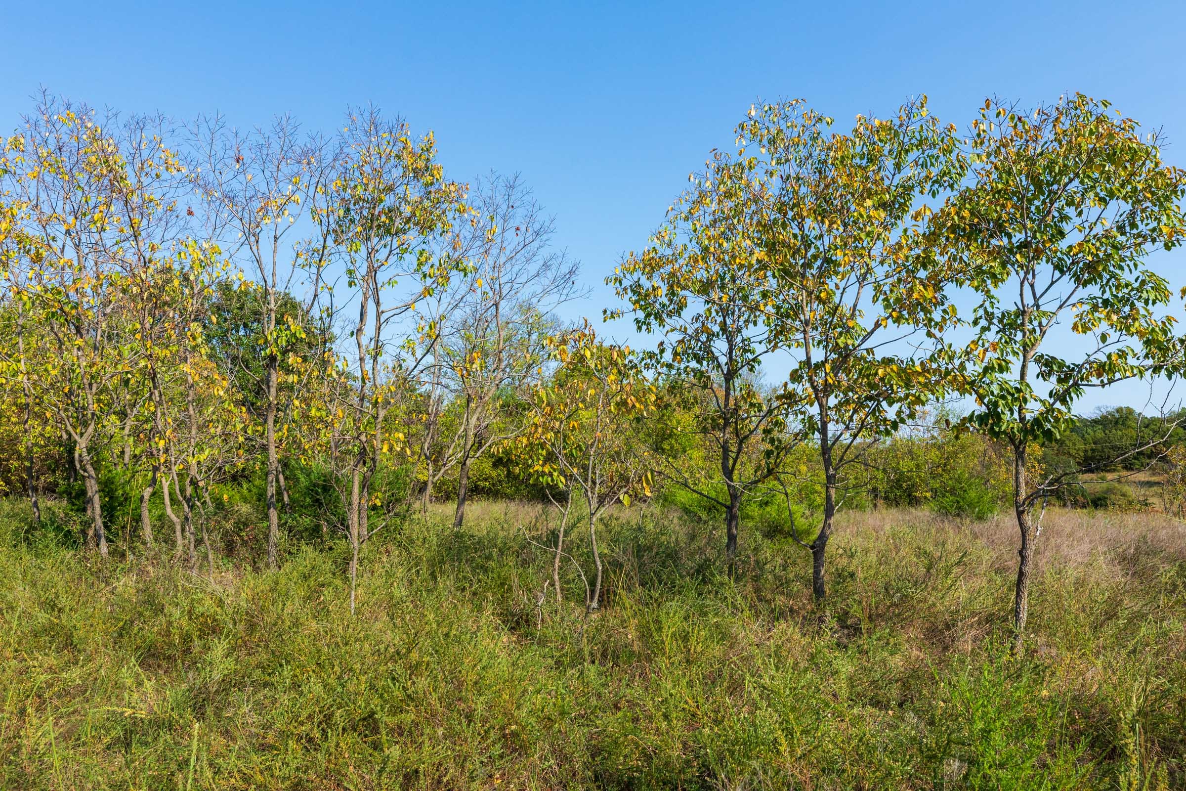 Canyon Creek Tract 20 photo 6
