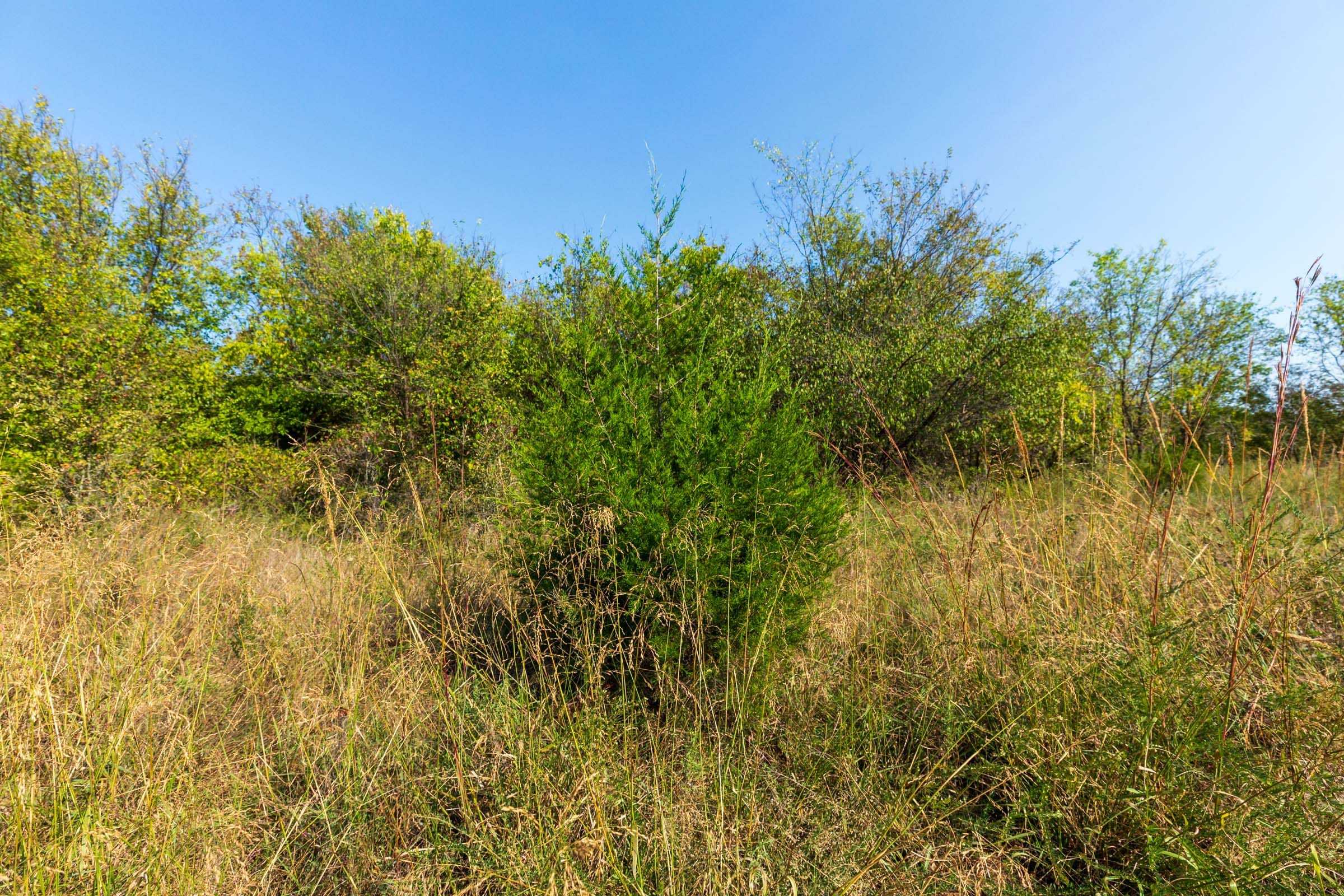Canyon Creek Tract 20 photo 8