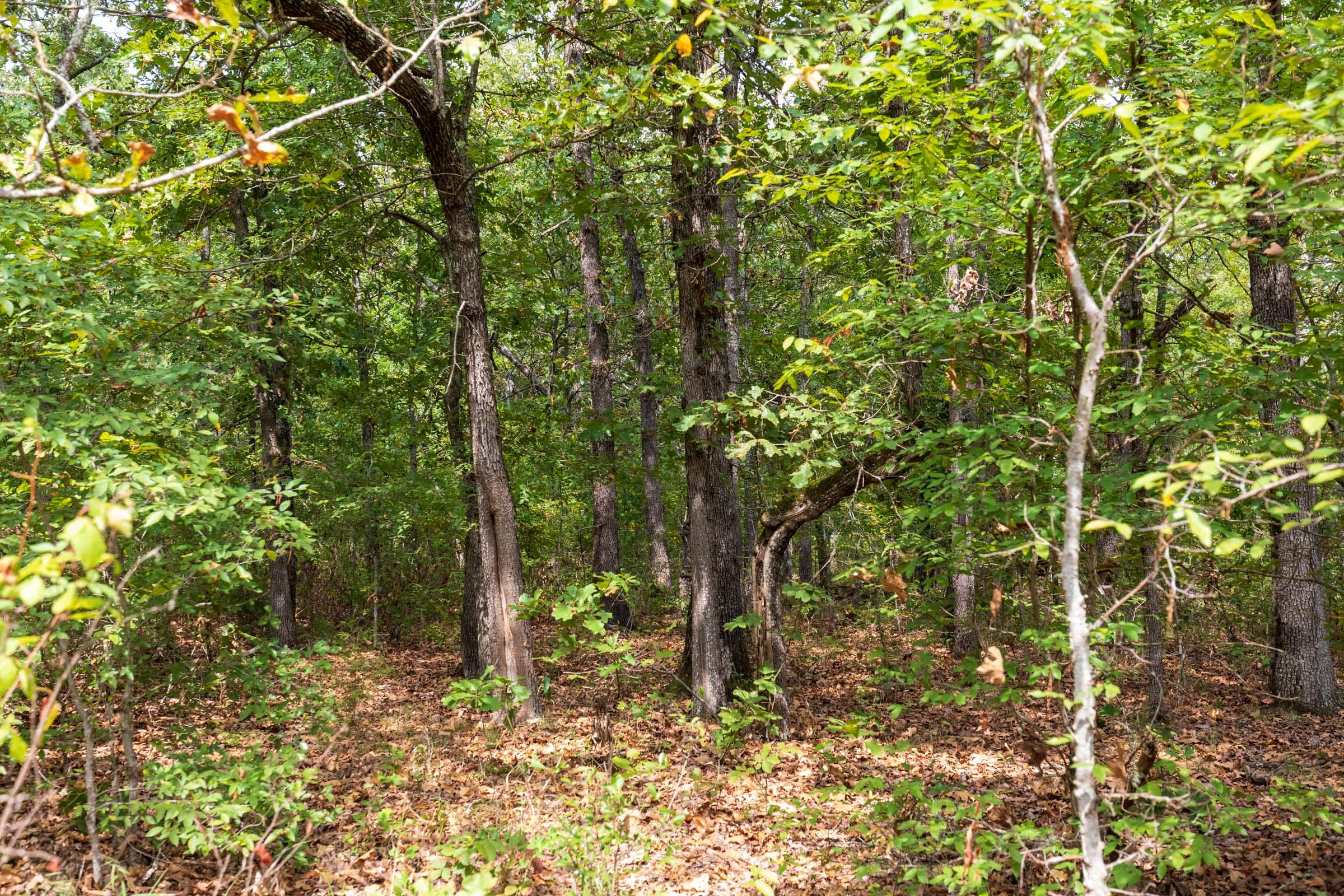 Heritage Bend Tract 19 photo 5