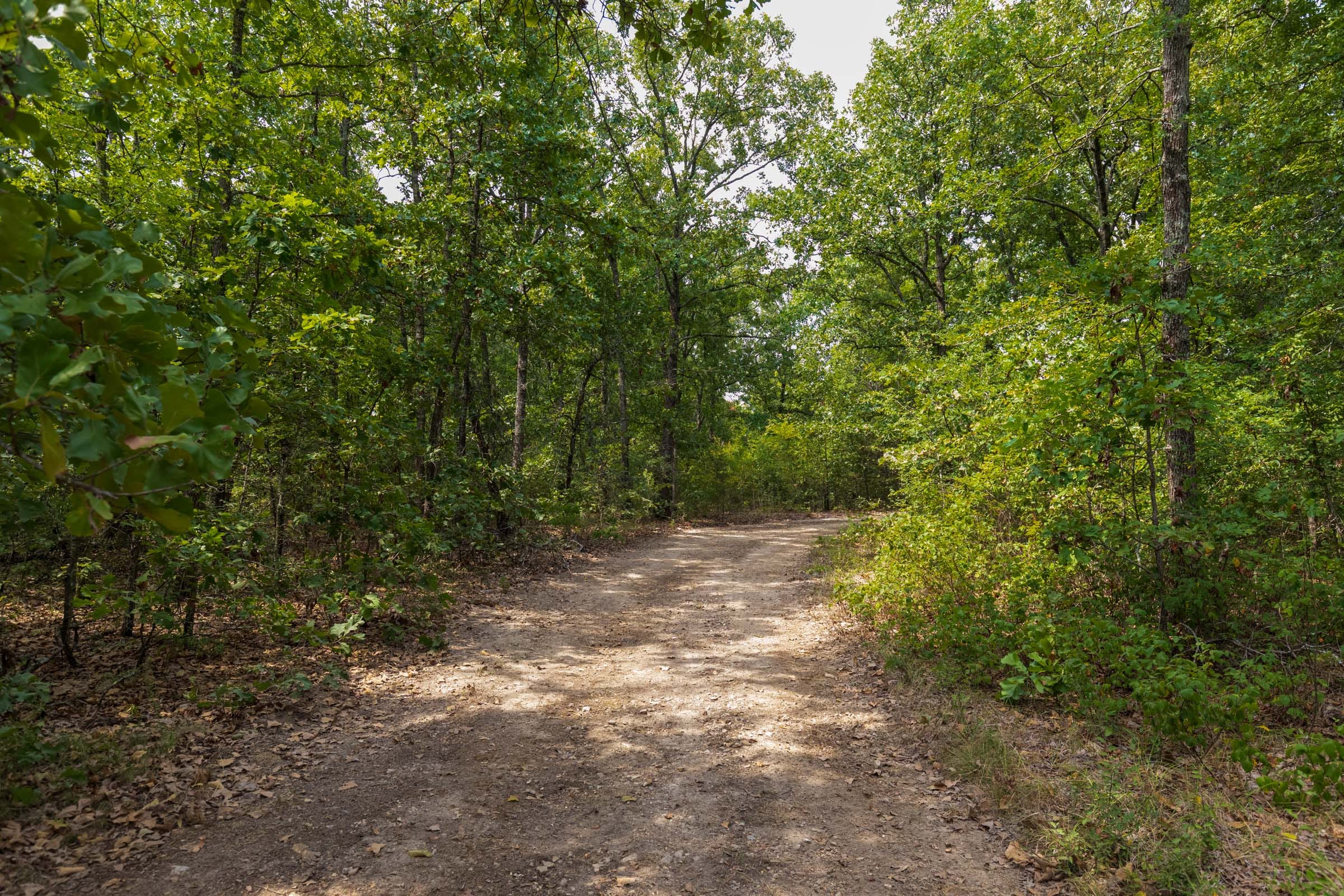 Heritage Bend Tract 19 photo 10