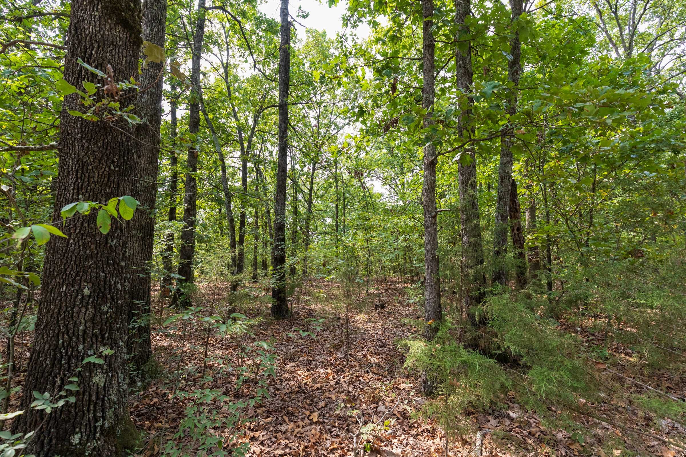 Heritage Bend Tract 19 photo 7
