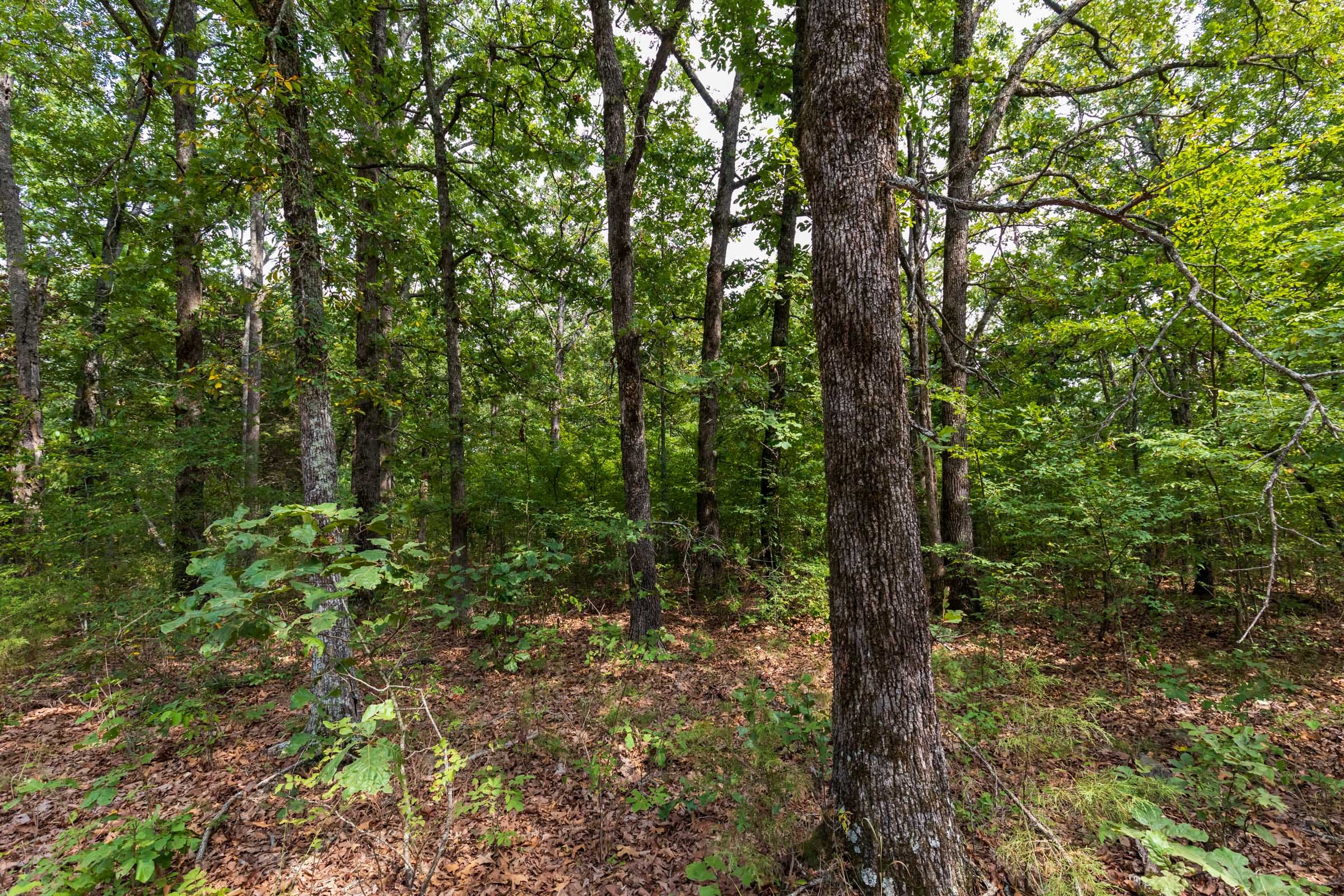 Heritage Bend Tract 19 photo 8