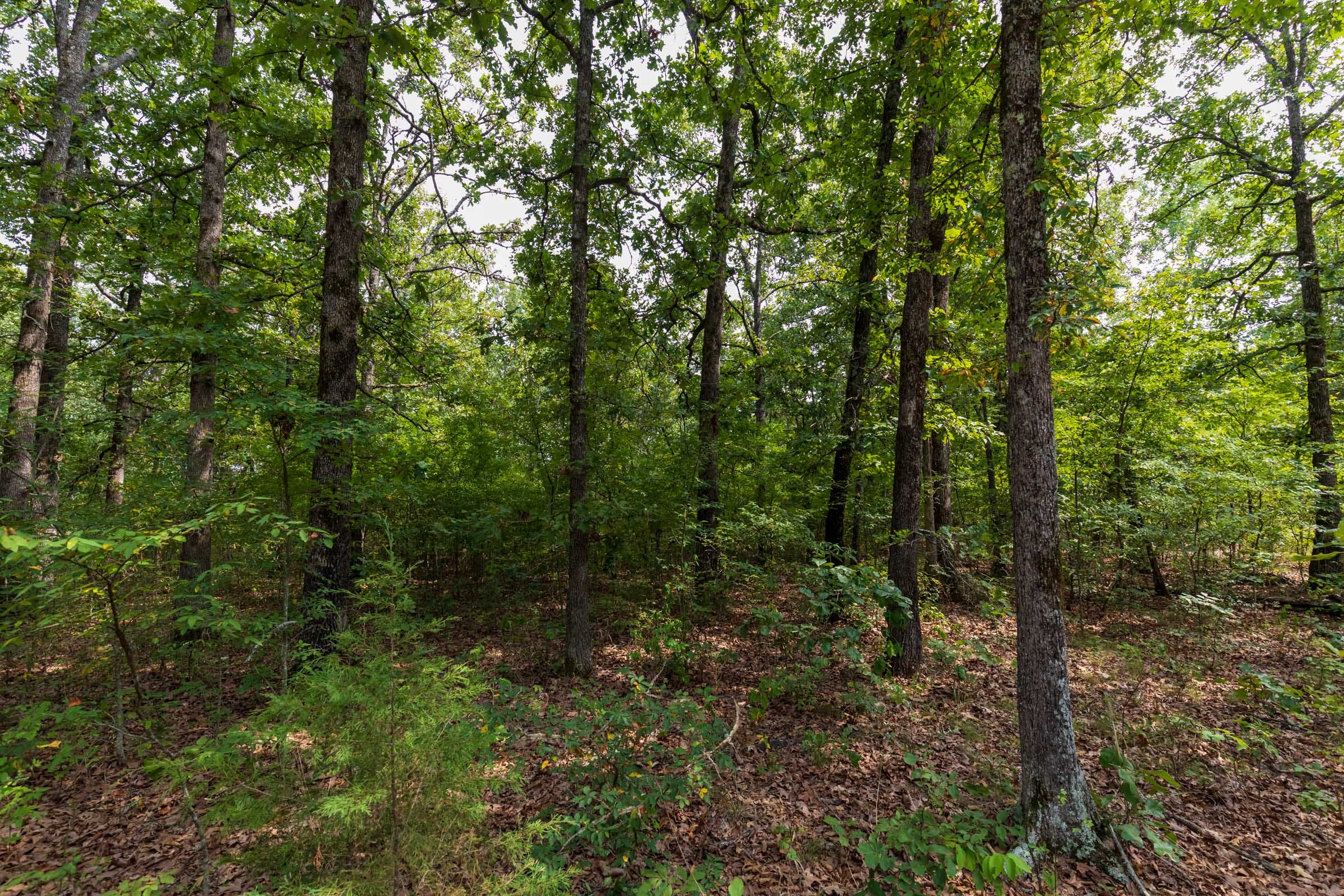 Heritage Bend Tract 19 photo 9