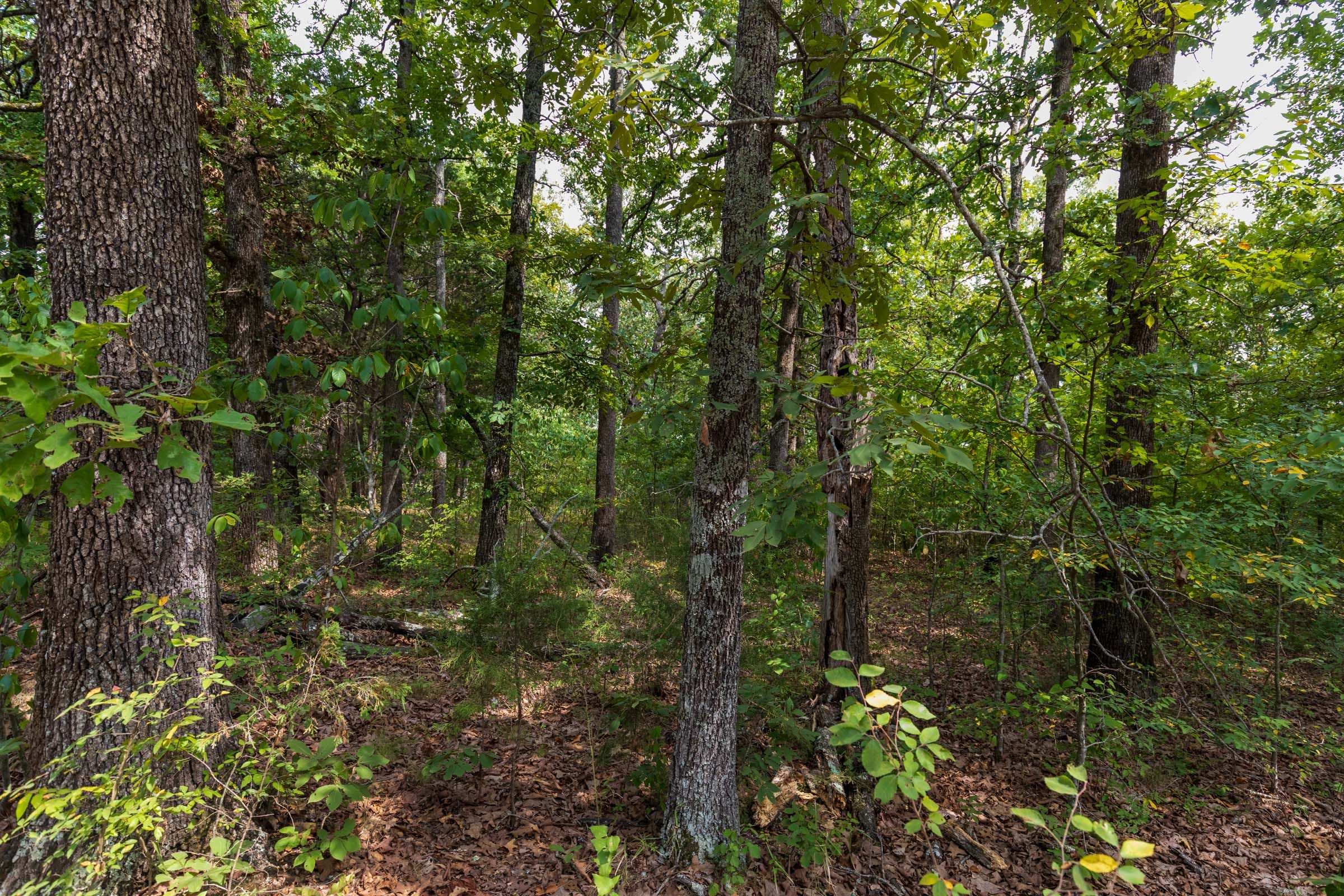 Heritage Bend Tract 19 photo 11