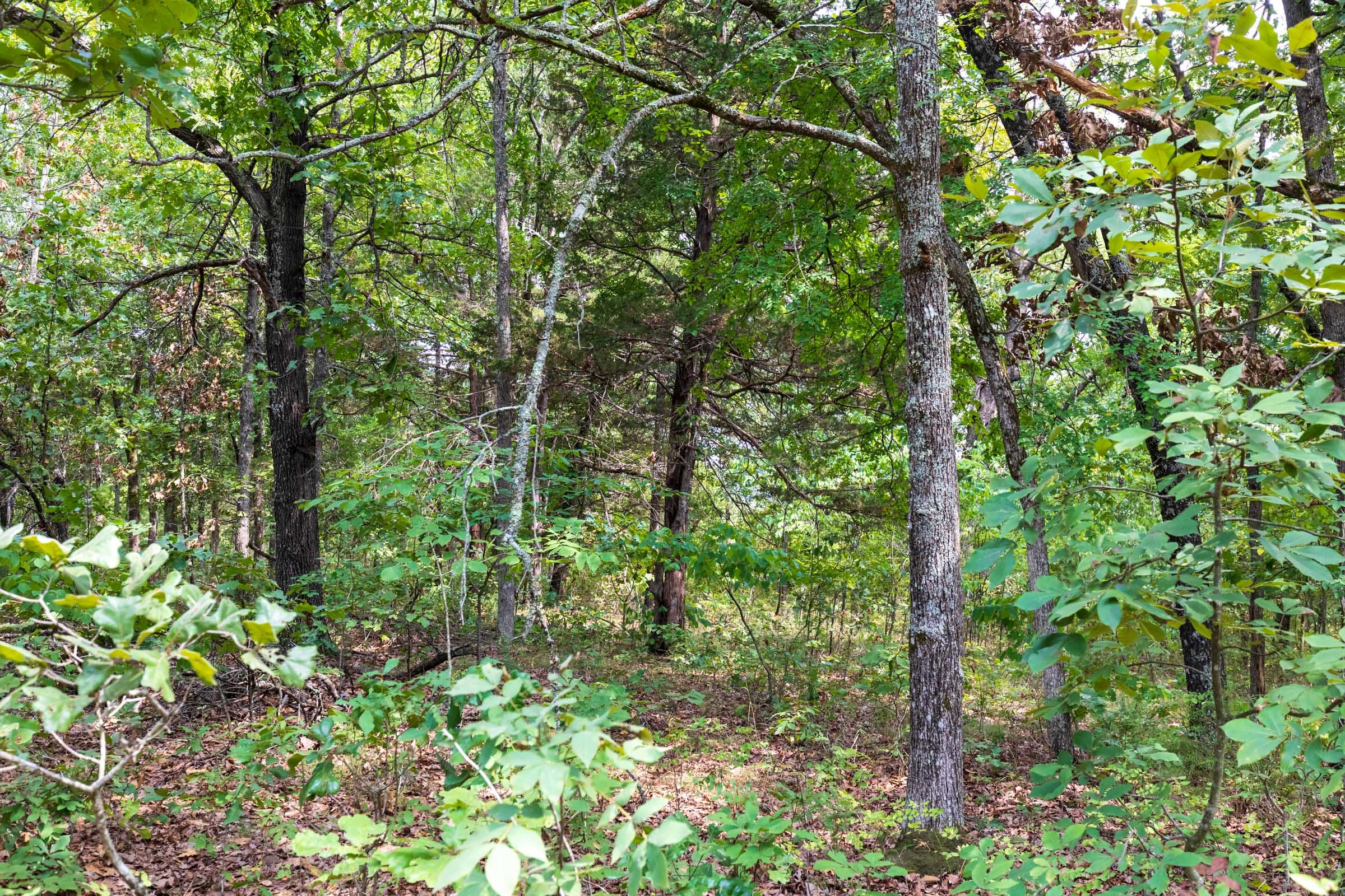 Heritage Bend Tract 19 photo 15