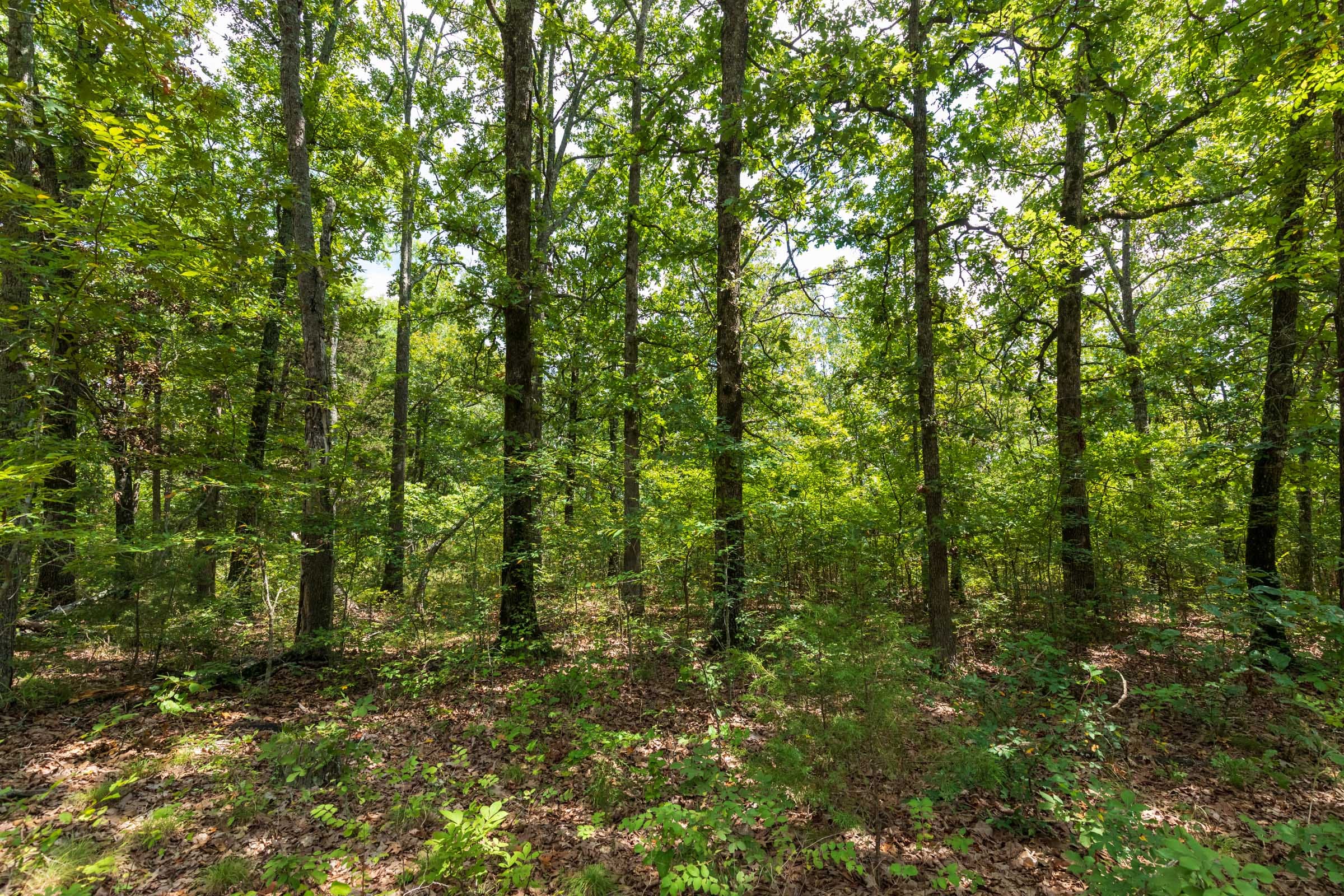 Heritage Bend Tract 19 photo 12