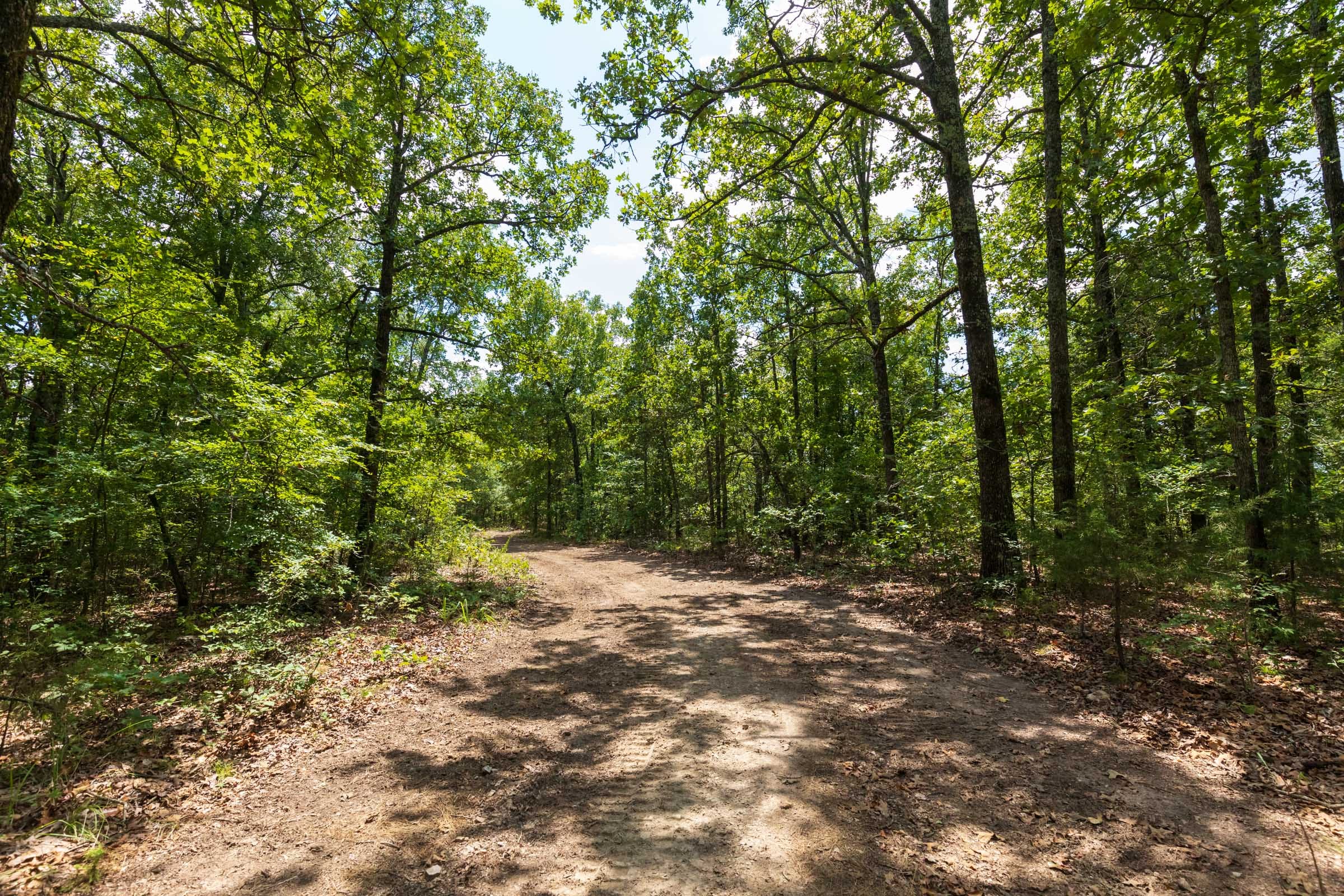 Heritage Bend Tract 19 photo 13