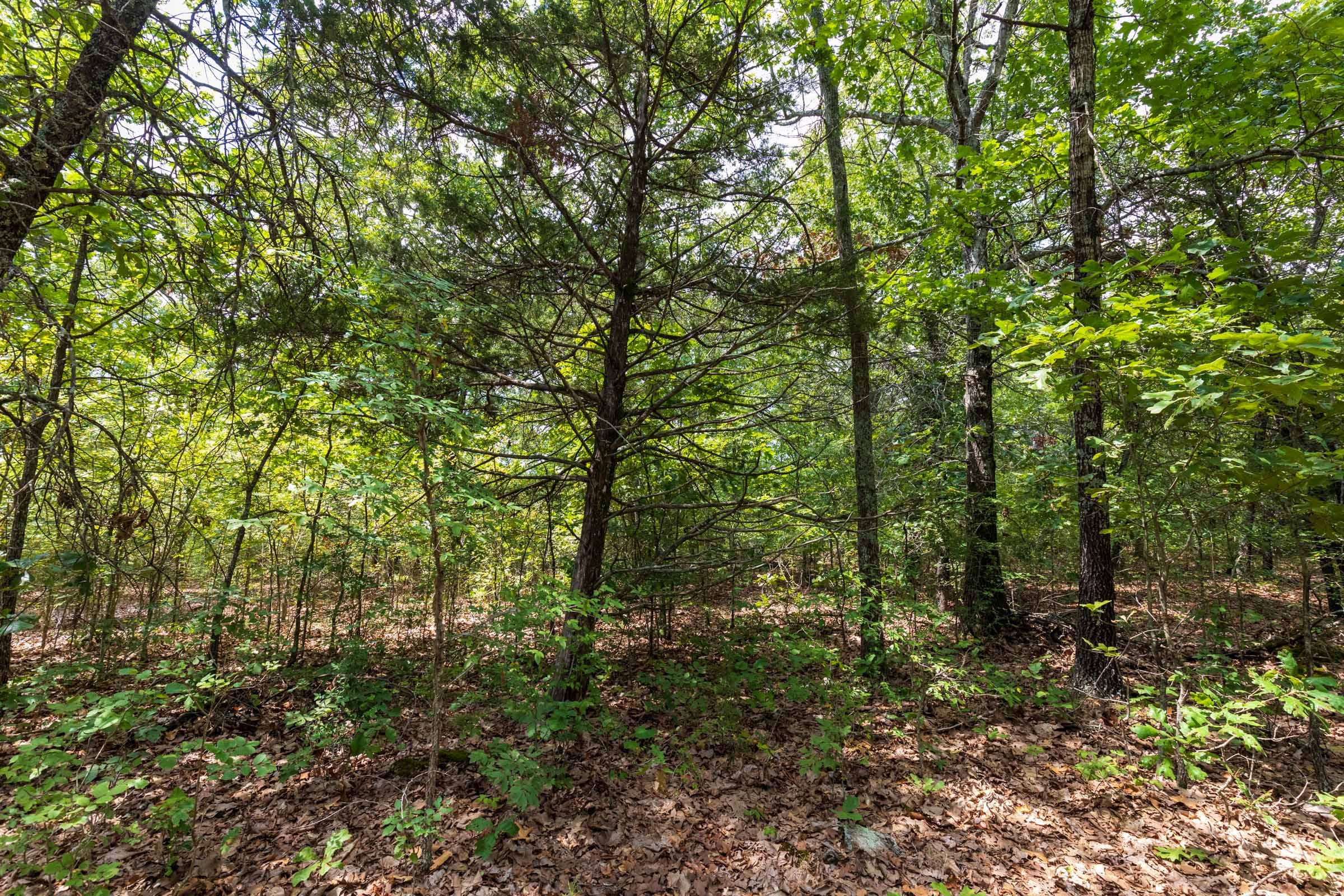 Heritage Bend Tract 19 photo 17