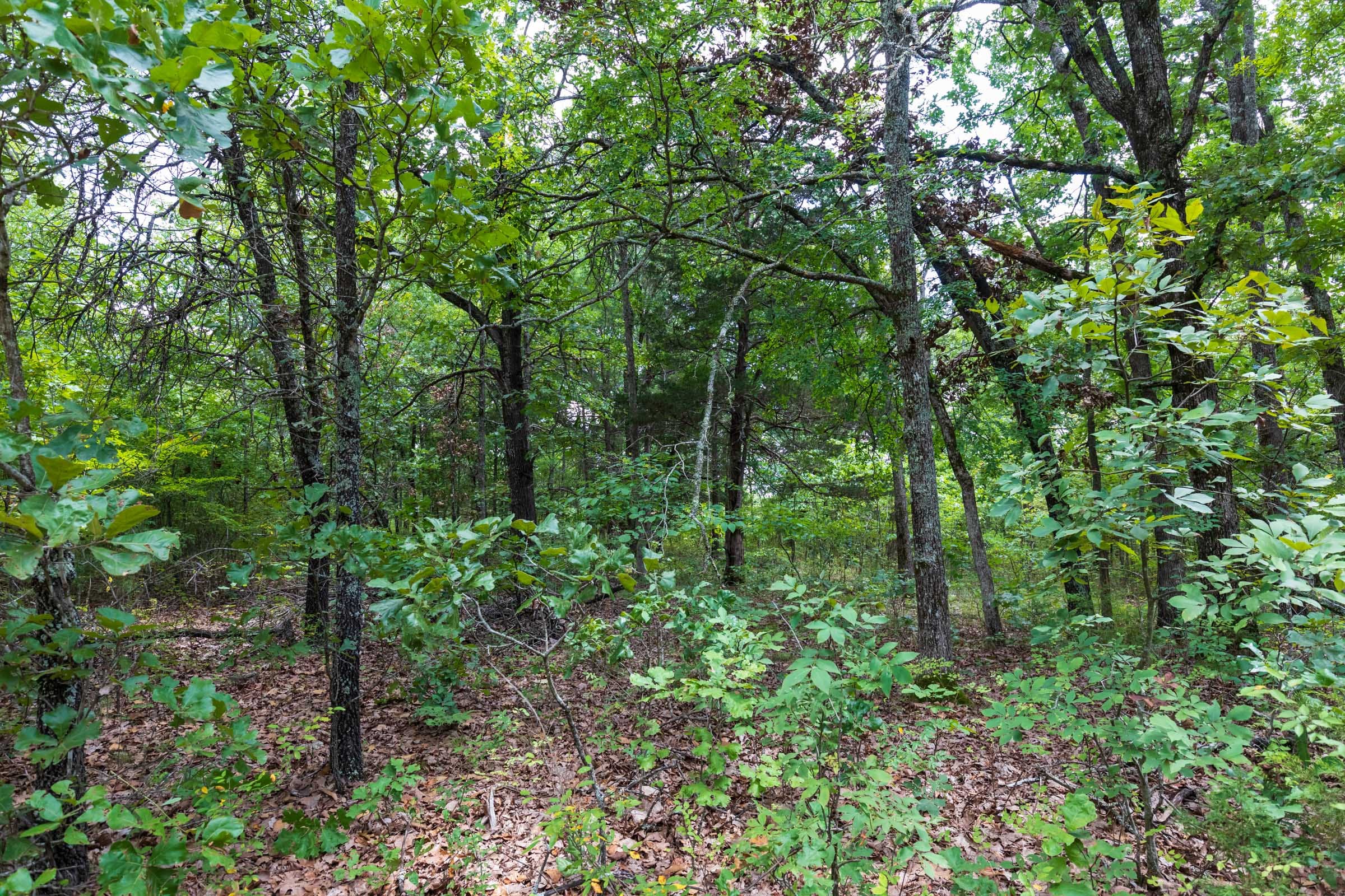 Heritage Bend Tract 19 photo 18