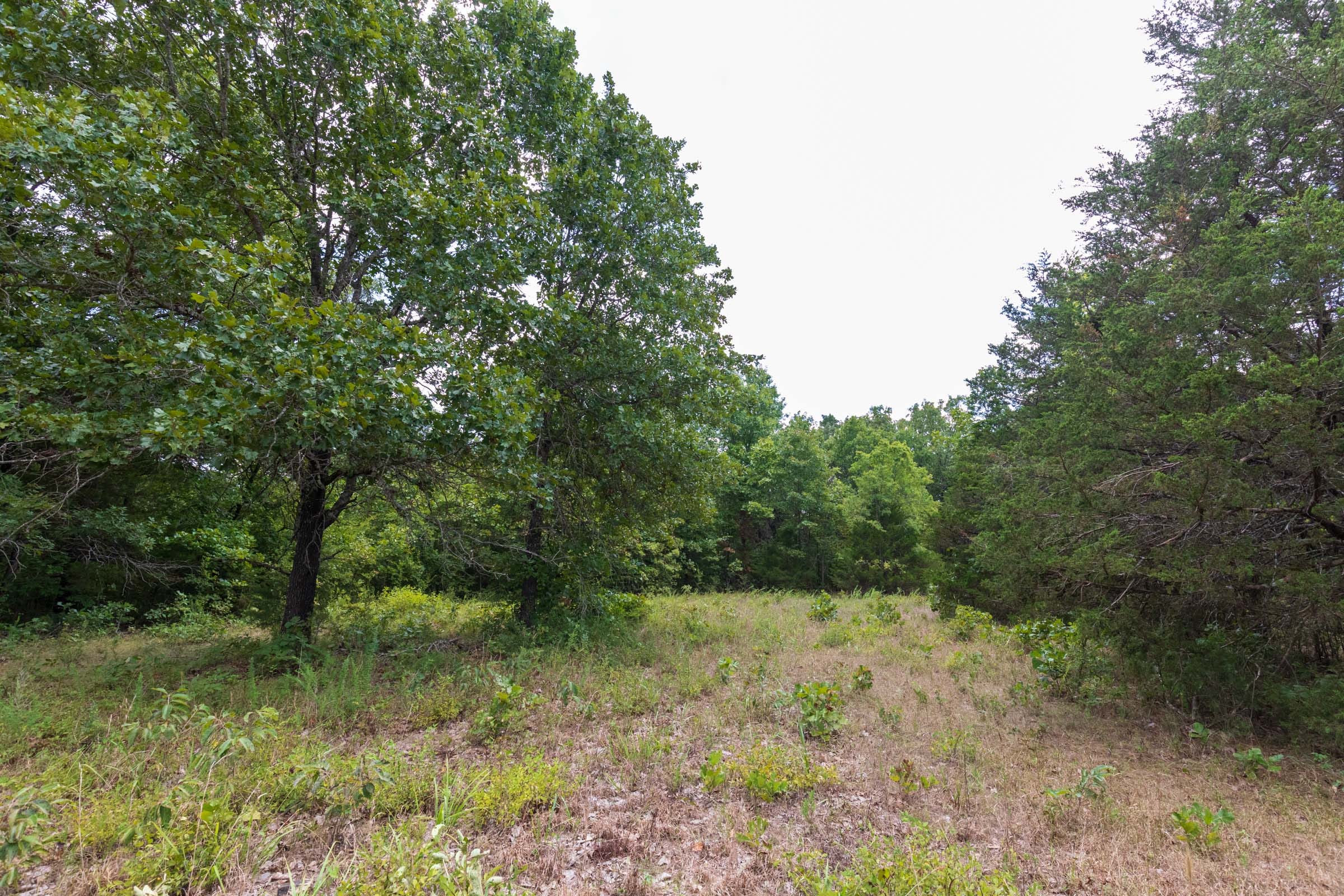 Heritage Bend Tract 19 photo 20