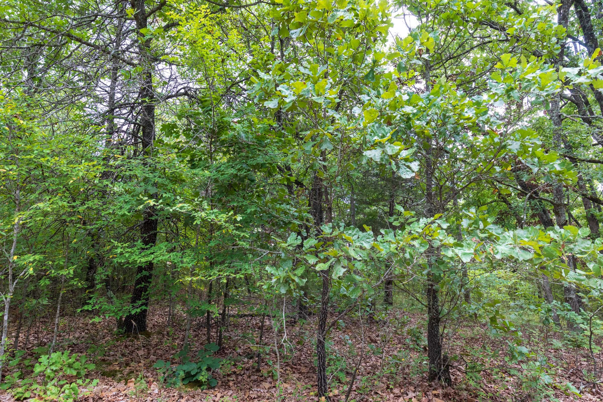 Heritage Bend Tract 19 photo 21