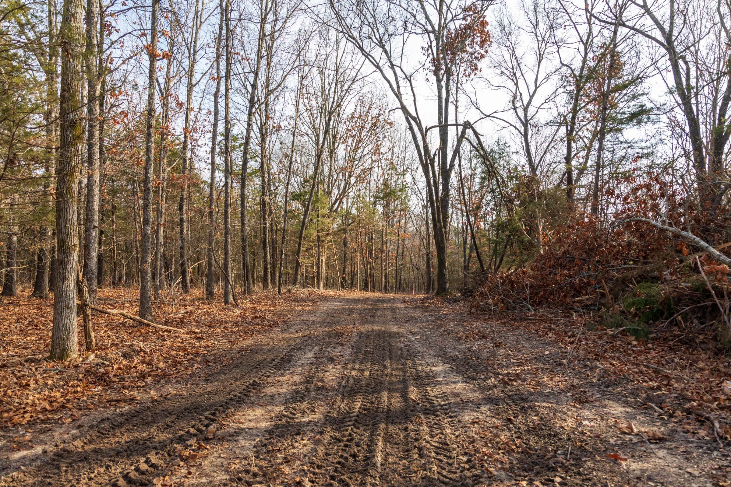 Crossroads Tract 11 photo 1