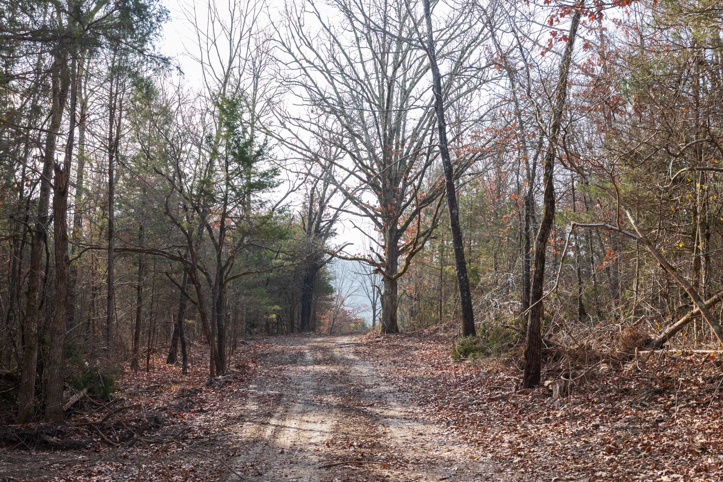 Crossroads Tract 11 photo 2
