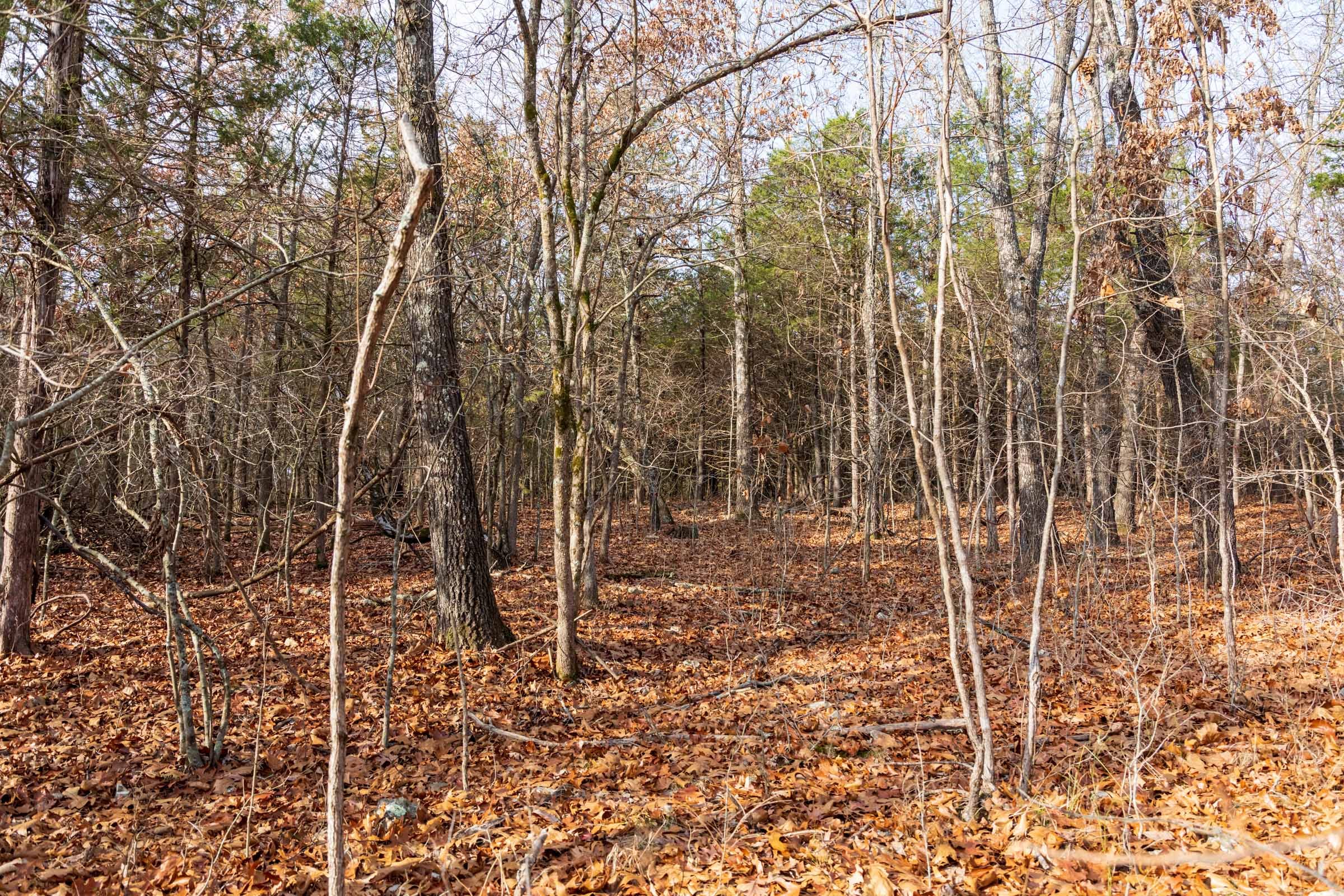 Crossroads Tract 11 photo 3