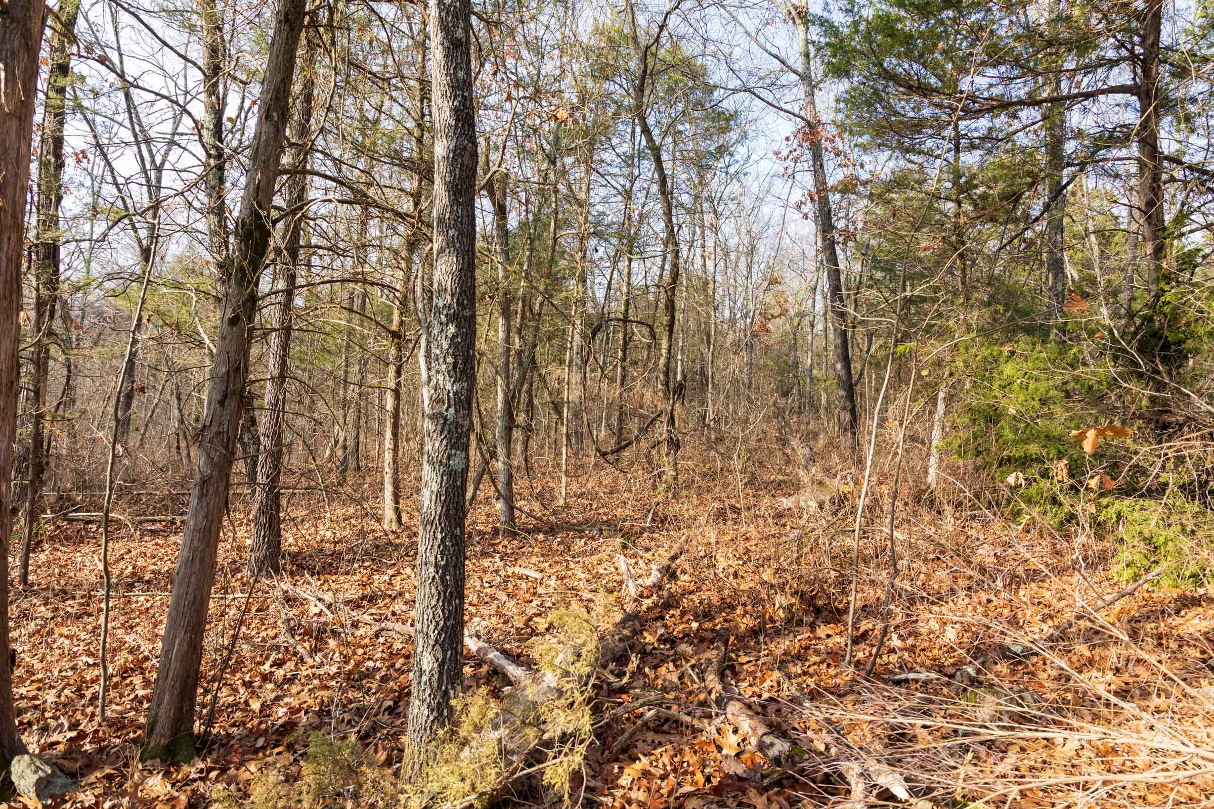 Crossroads Tract 11 photo 4