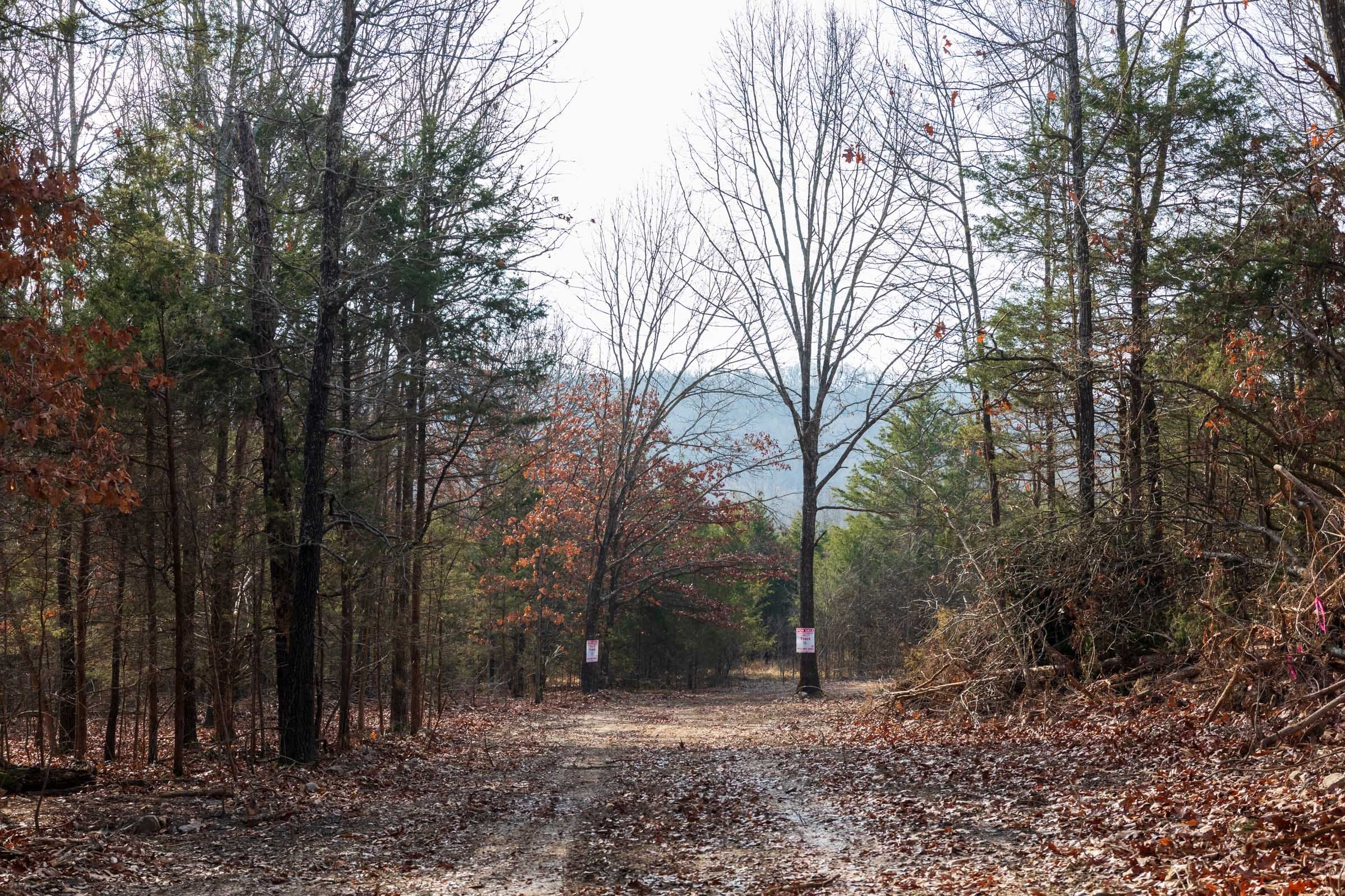 Crossroads Tract 11 photo 5