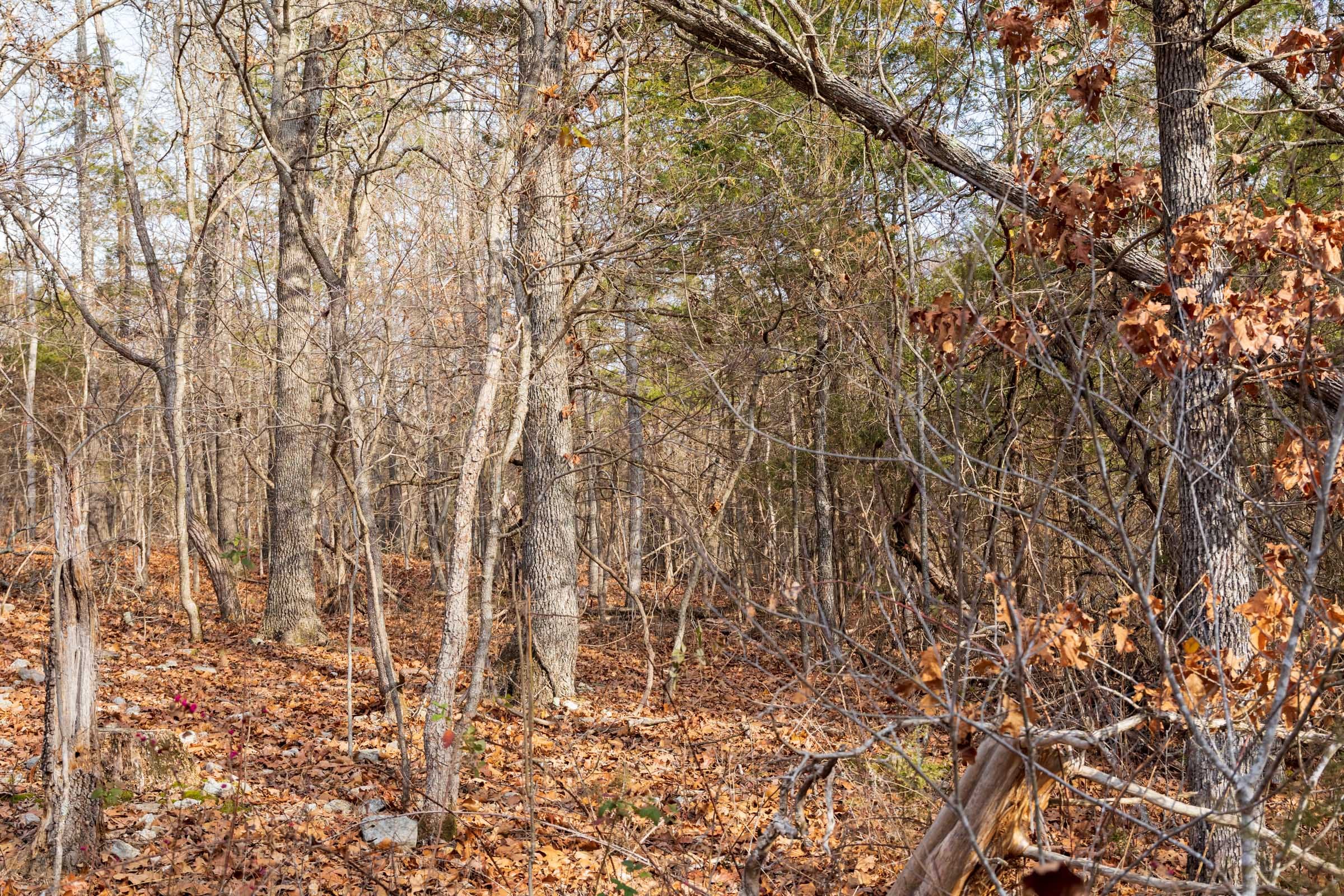 Crossroads Tract 11 photo 6