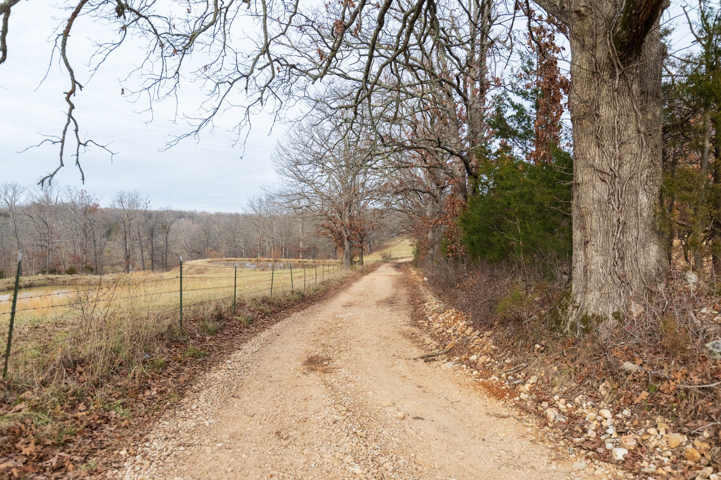 Crossroads Tract 11 photo 9