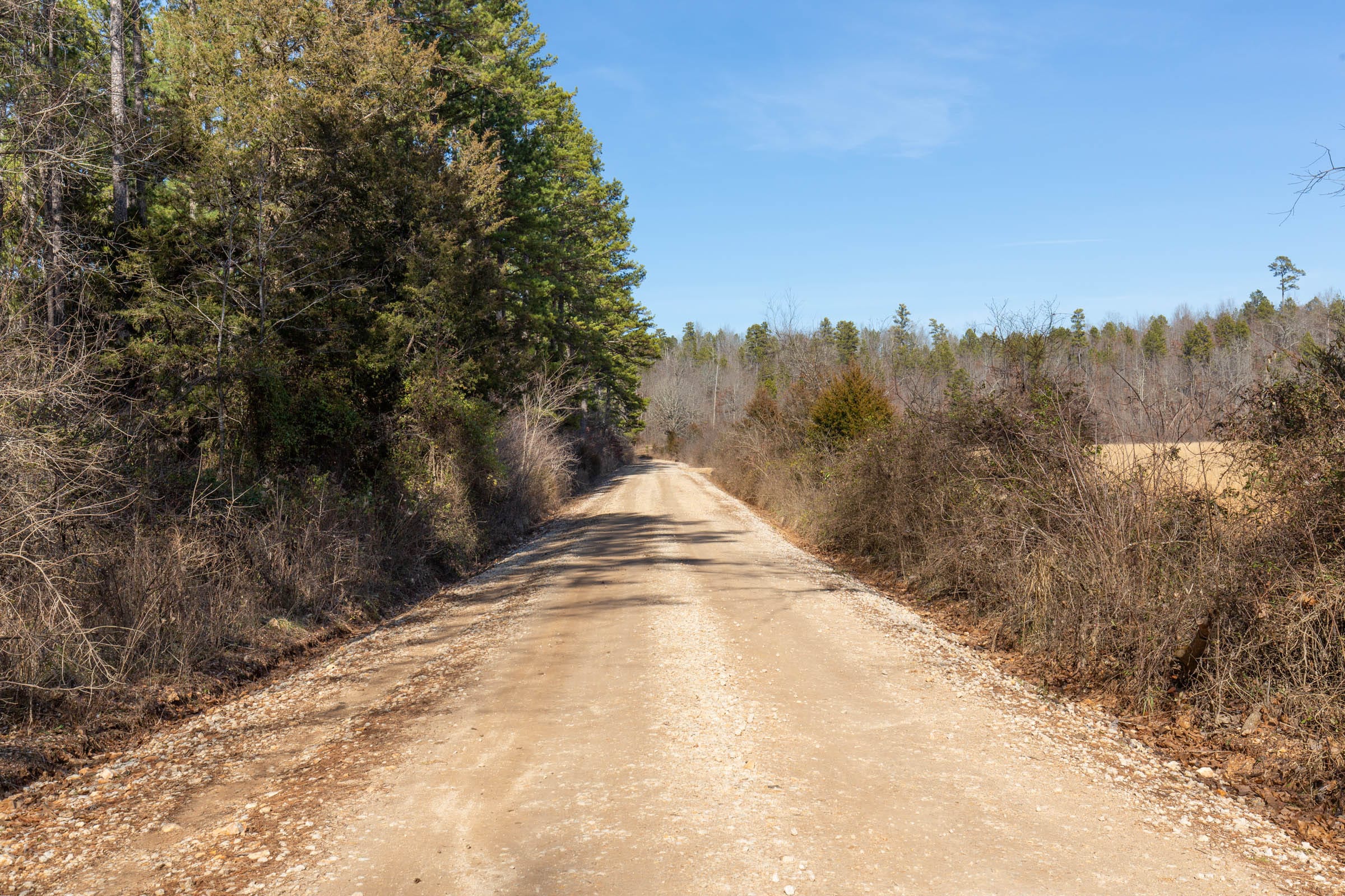 O’Connor Crossing Tract 34 photo 8