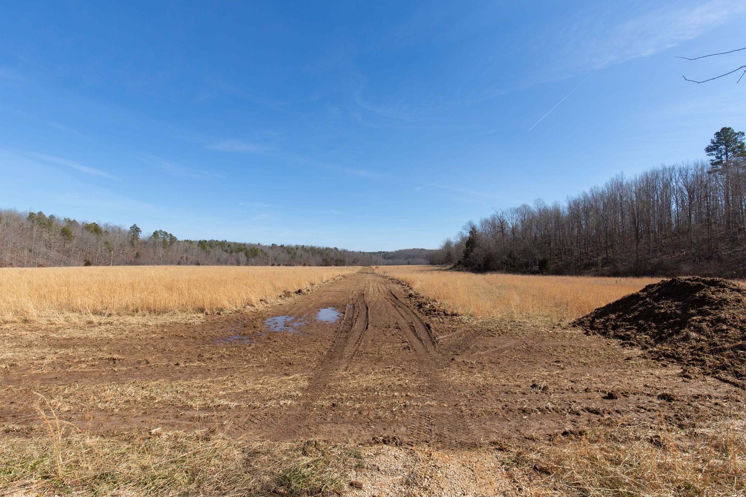 O’Connor Crossing Tract 34 photo 2