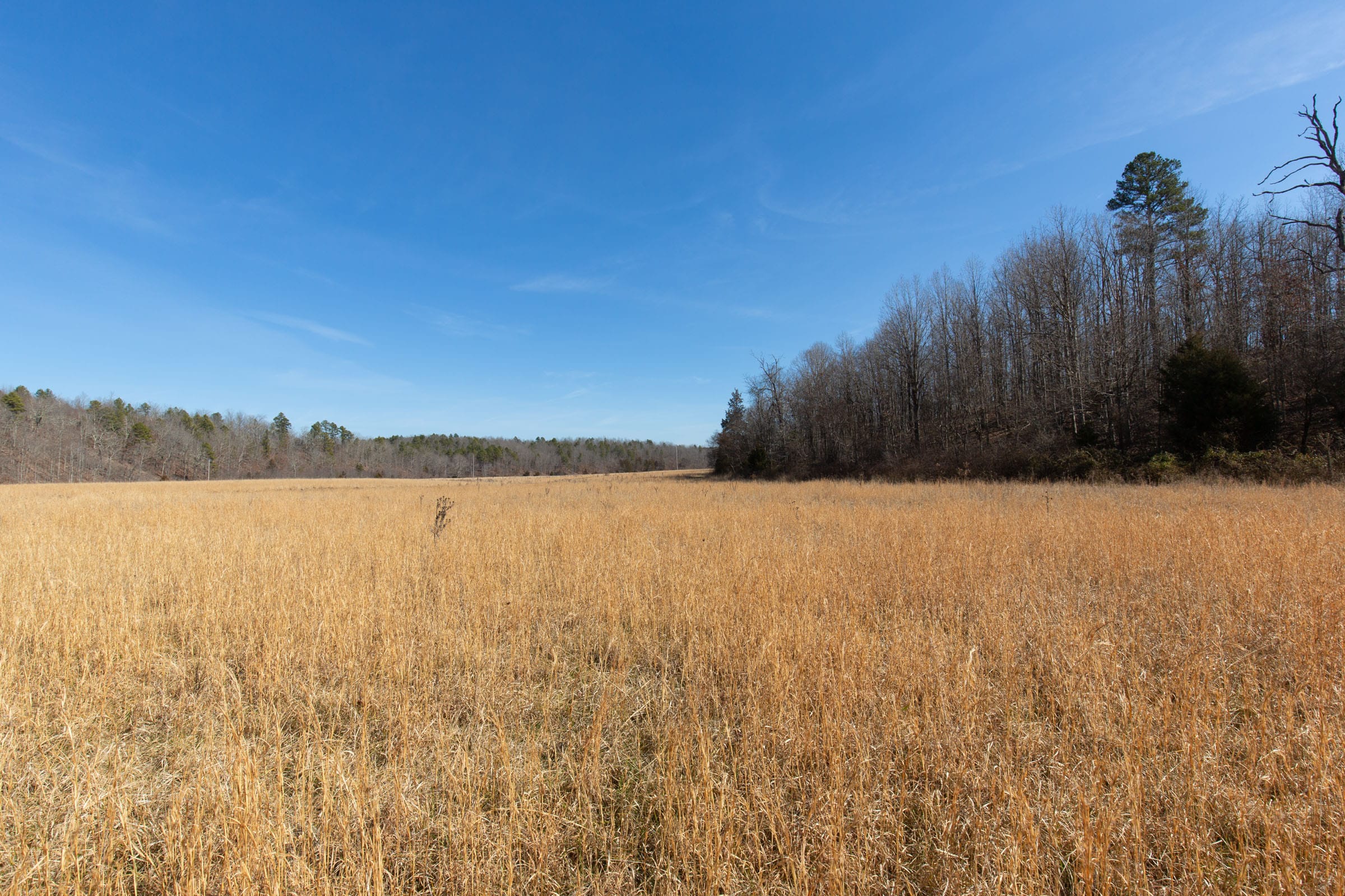 O’Connor Crossing Tract 34 photo 3