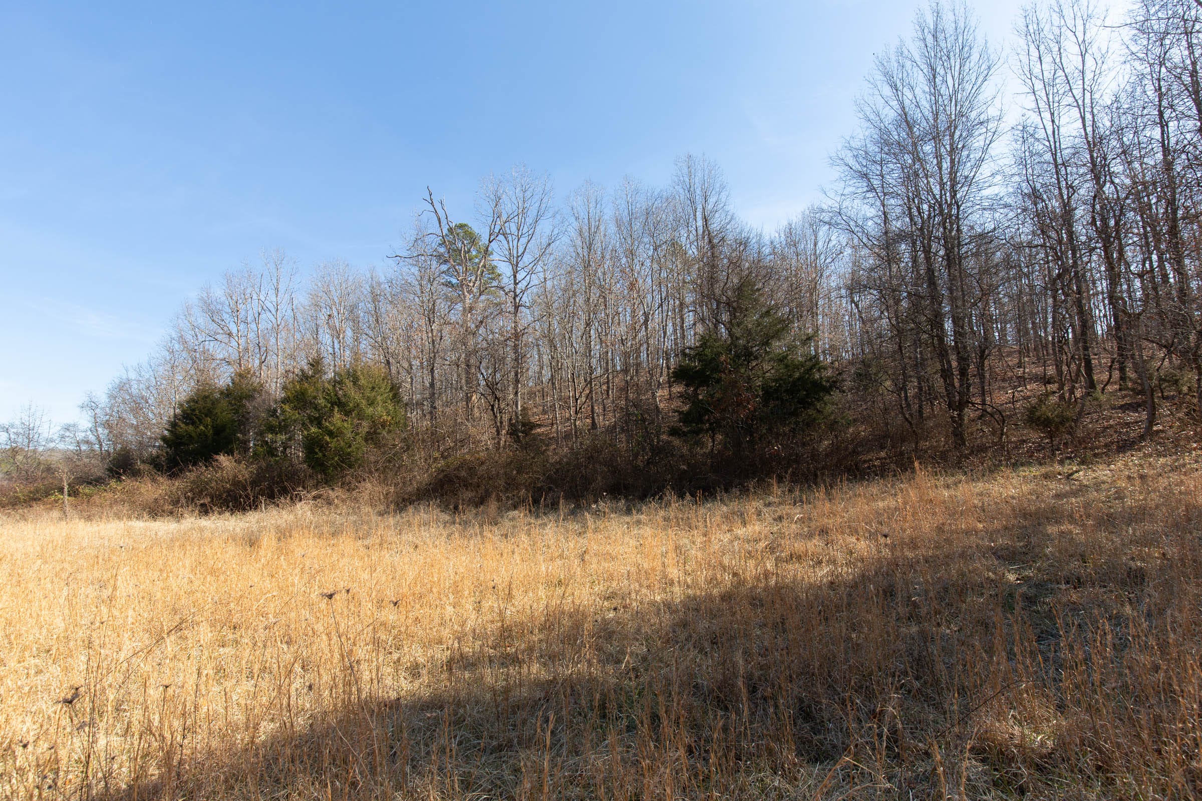 O’Connor Crossing Tract 34 photo 4