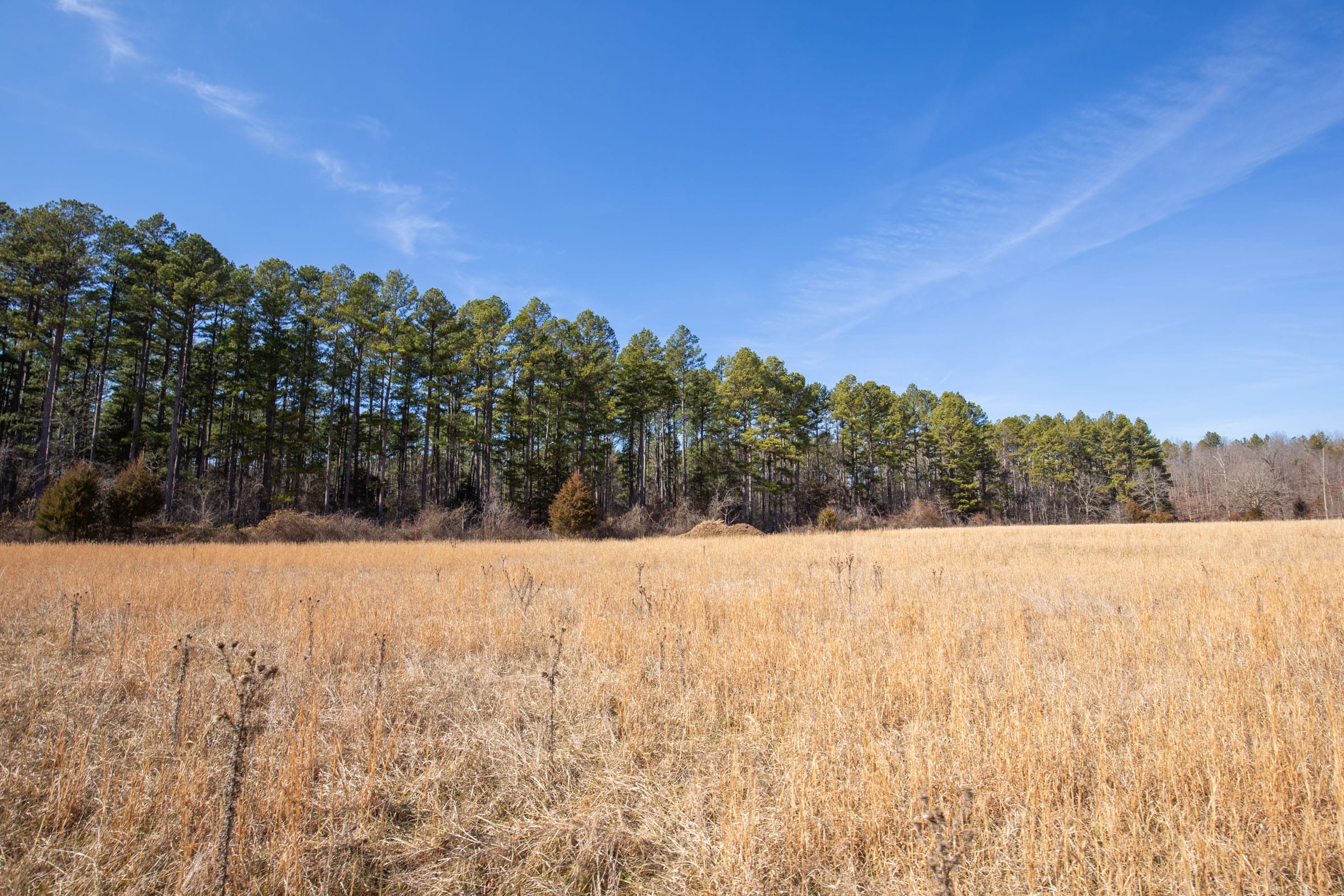 O’Connor Crossing Tract 34 photo 9