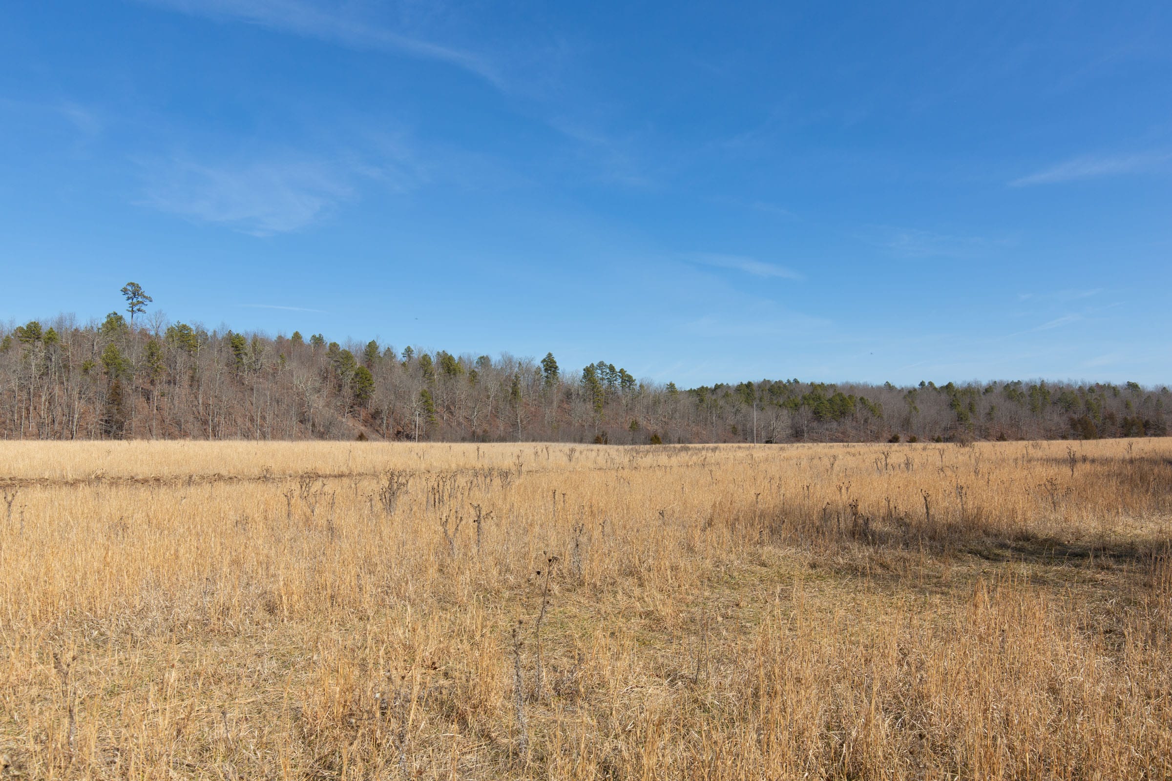 O’Connor Crossing Tract 34 photo 10