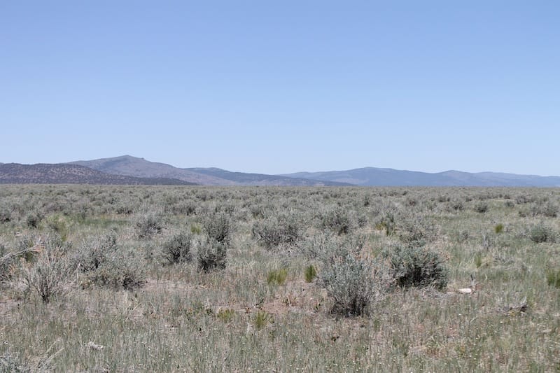 Moon Valley Ranch Tract 497 photo 4