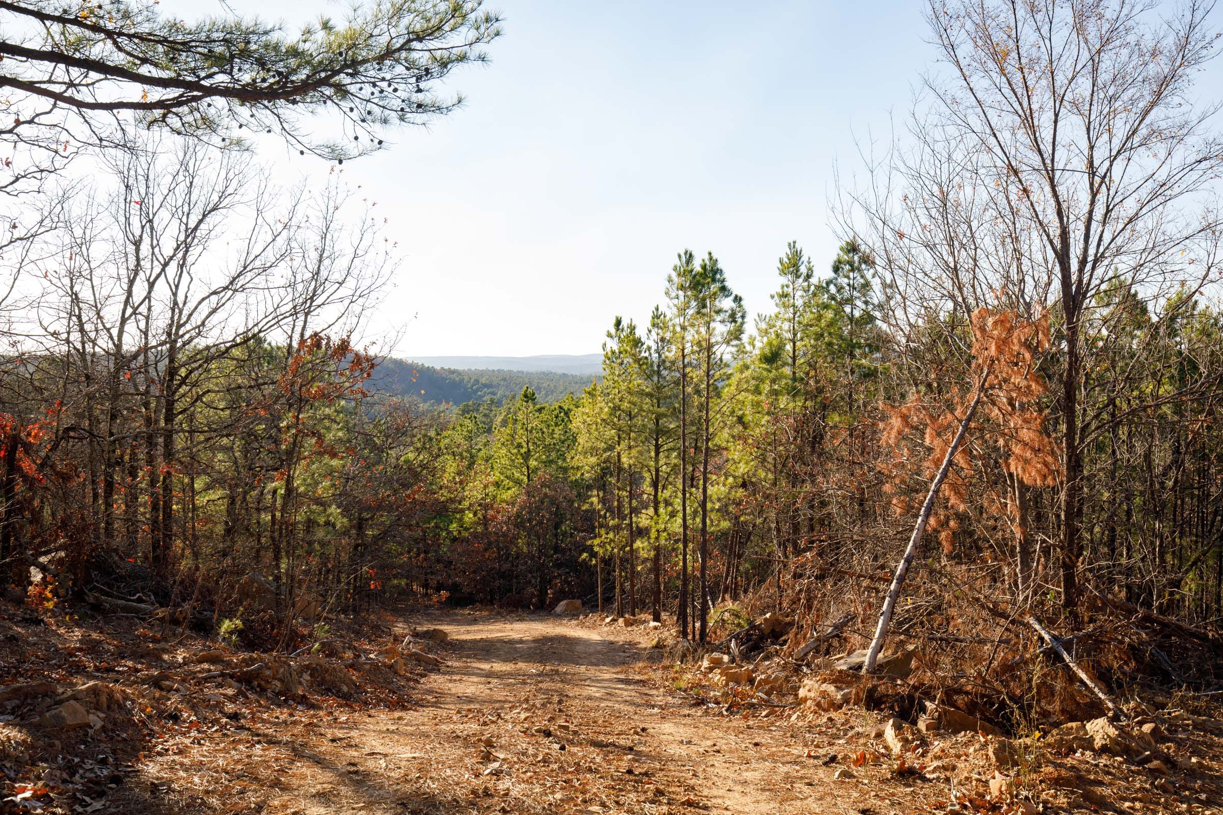 Stone Bridge Phase II Tract 87 photo 1