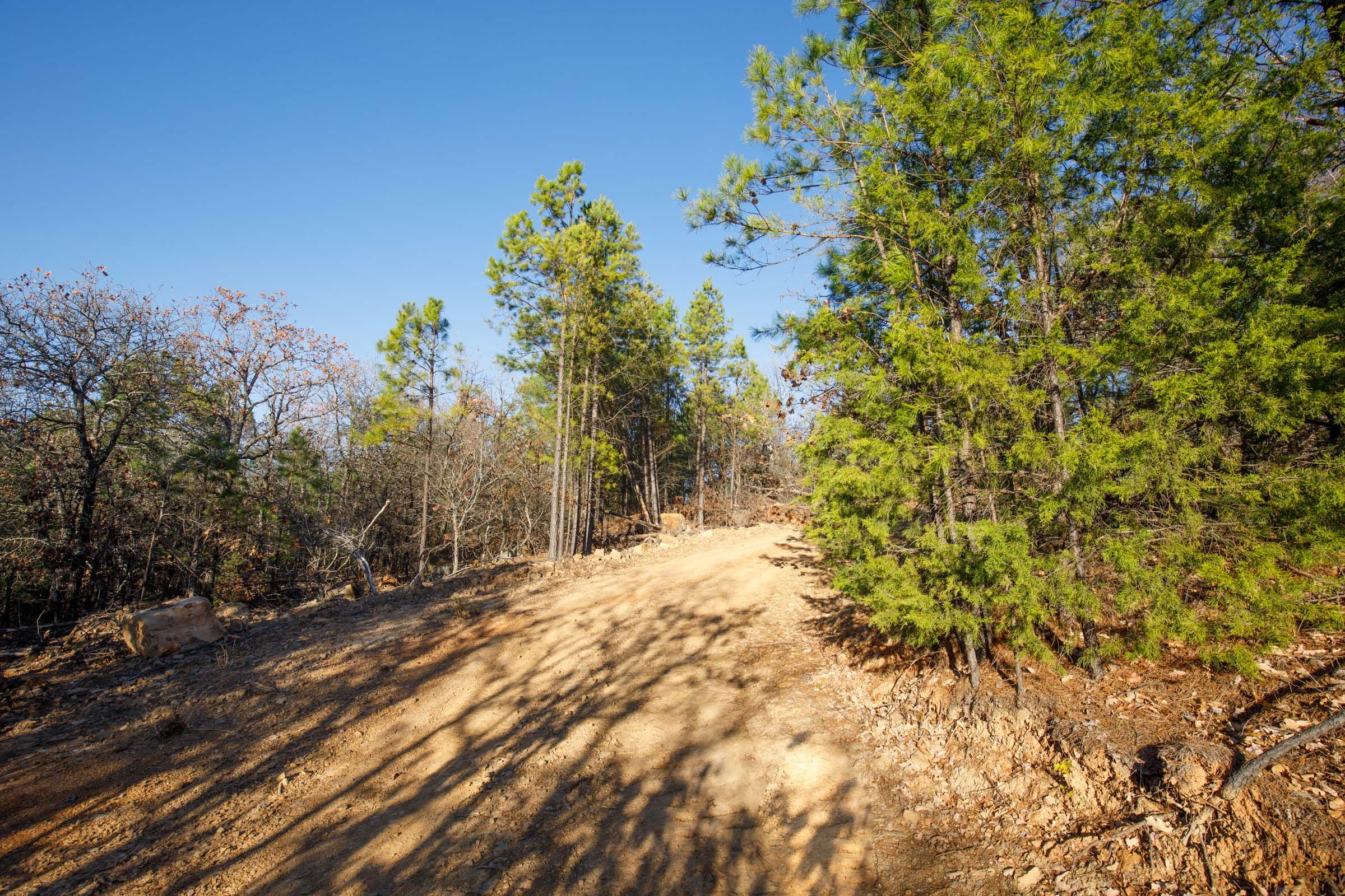 Stone Bridge Phase II Tract 87 photo 6