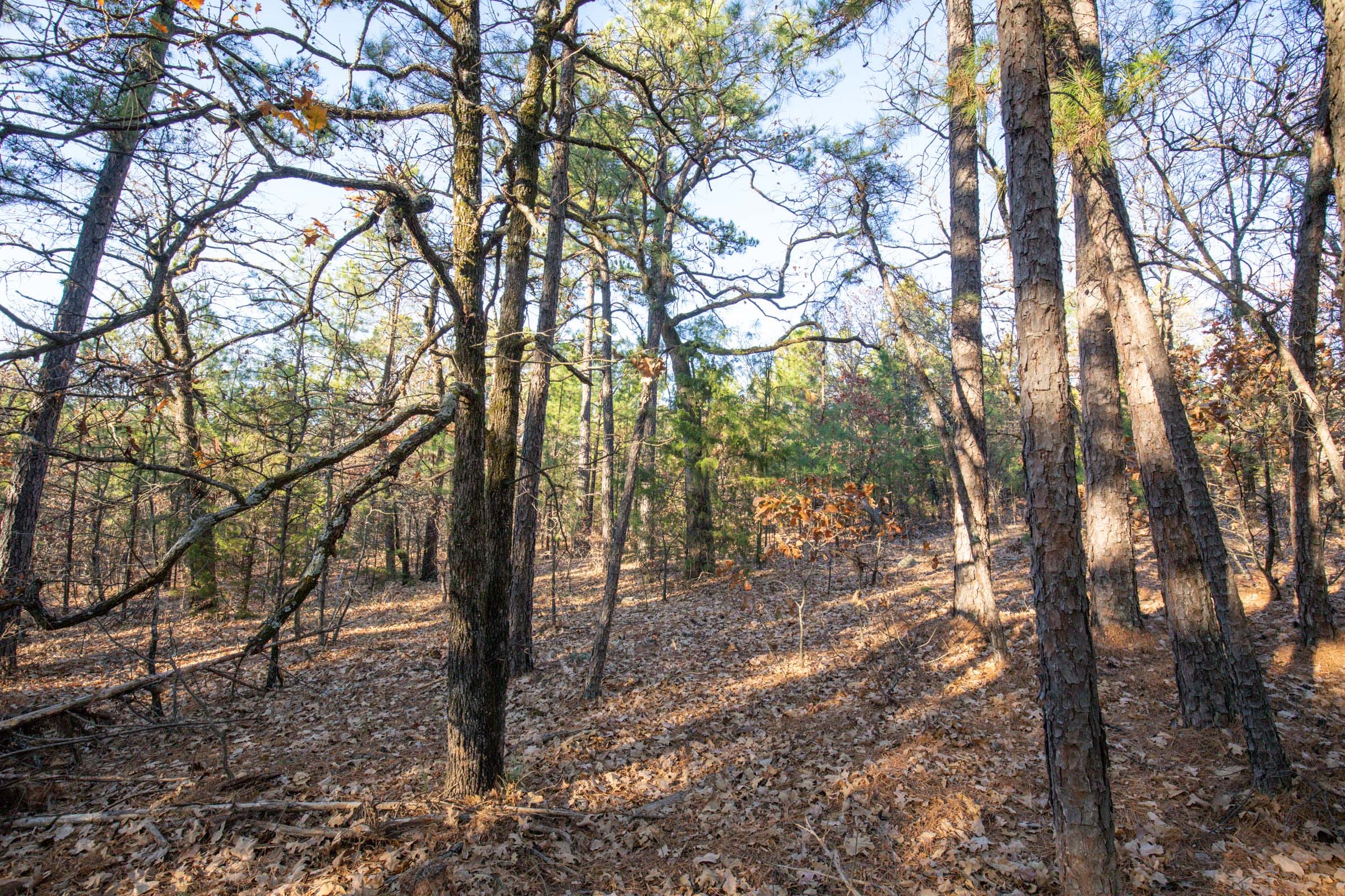 Stone Bridge Phase II Tract 87 photo 5