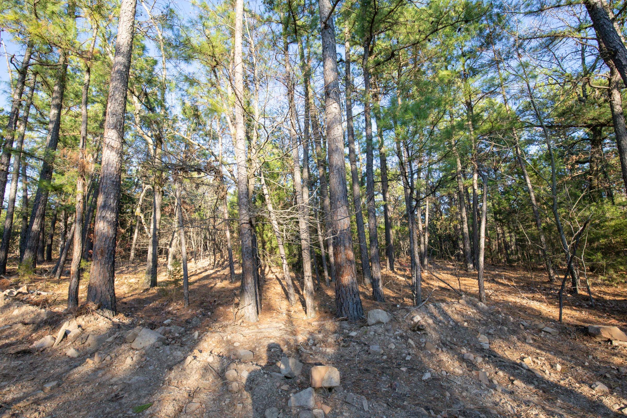 Stone Bridge Phase II Tract 87 photo 10