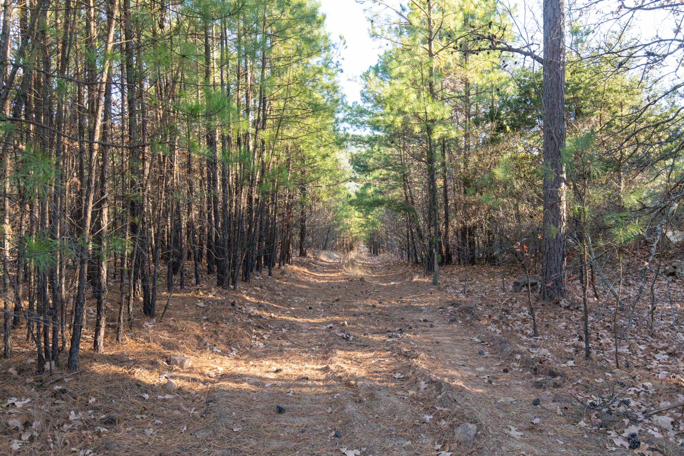 Stone Bridge Phase II Tract 87 photo 11