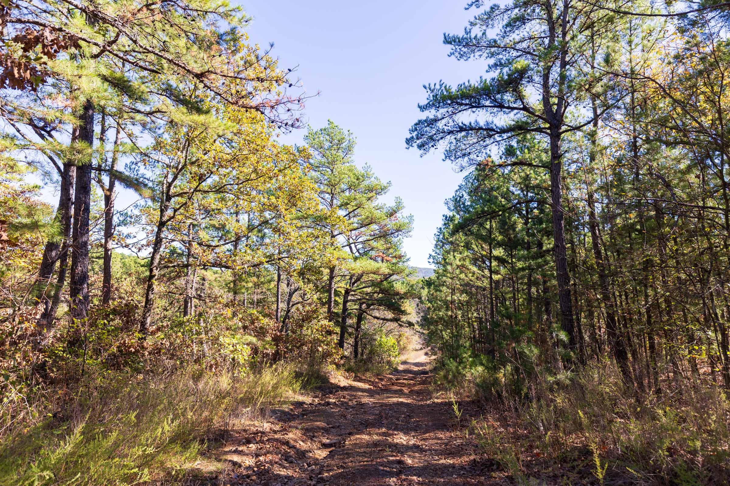 Stone Bridge Reserve Tract 25 photo 7