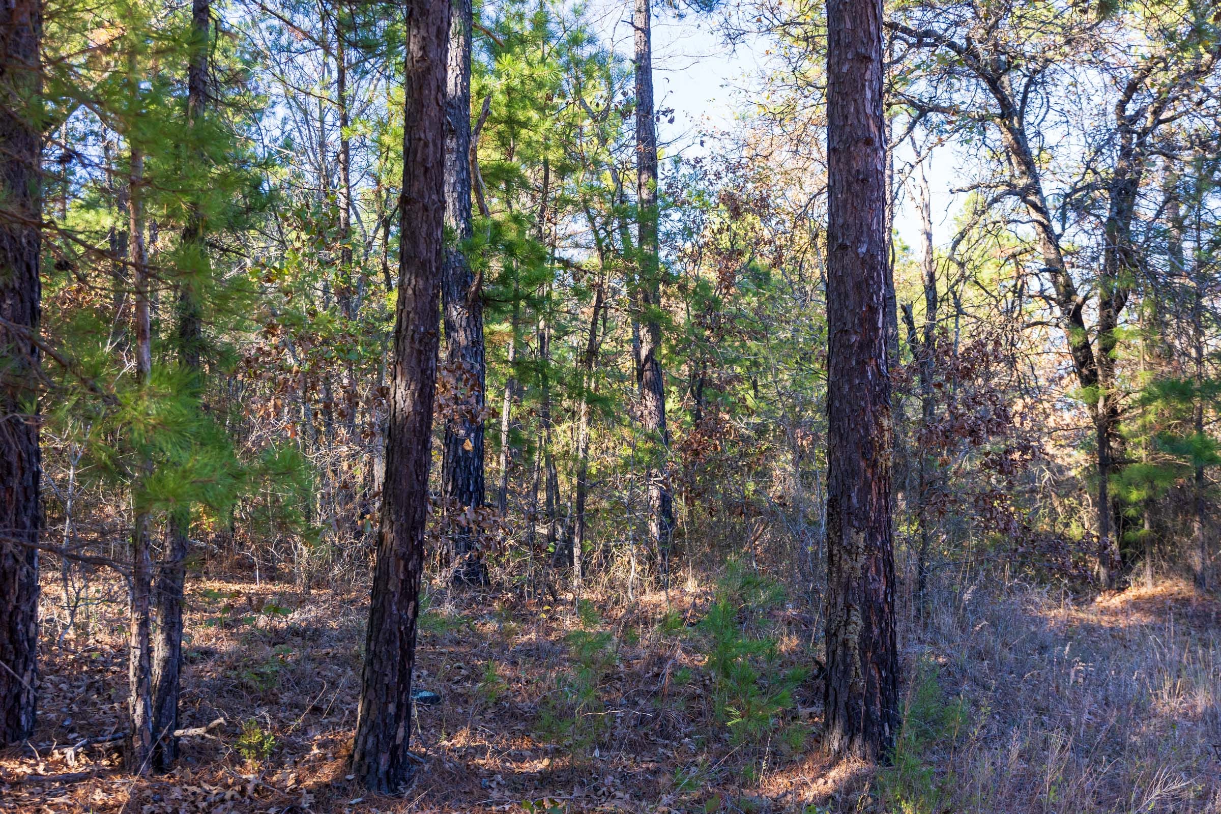 Stone Bridge Reserve Tract 25 photo 16